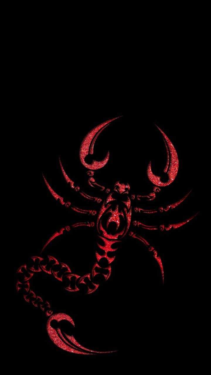 Scorpion Iphone Wallpapers