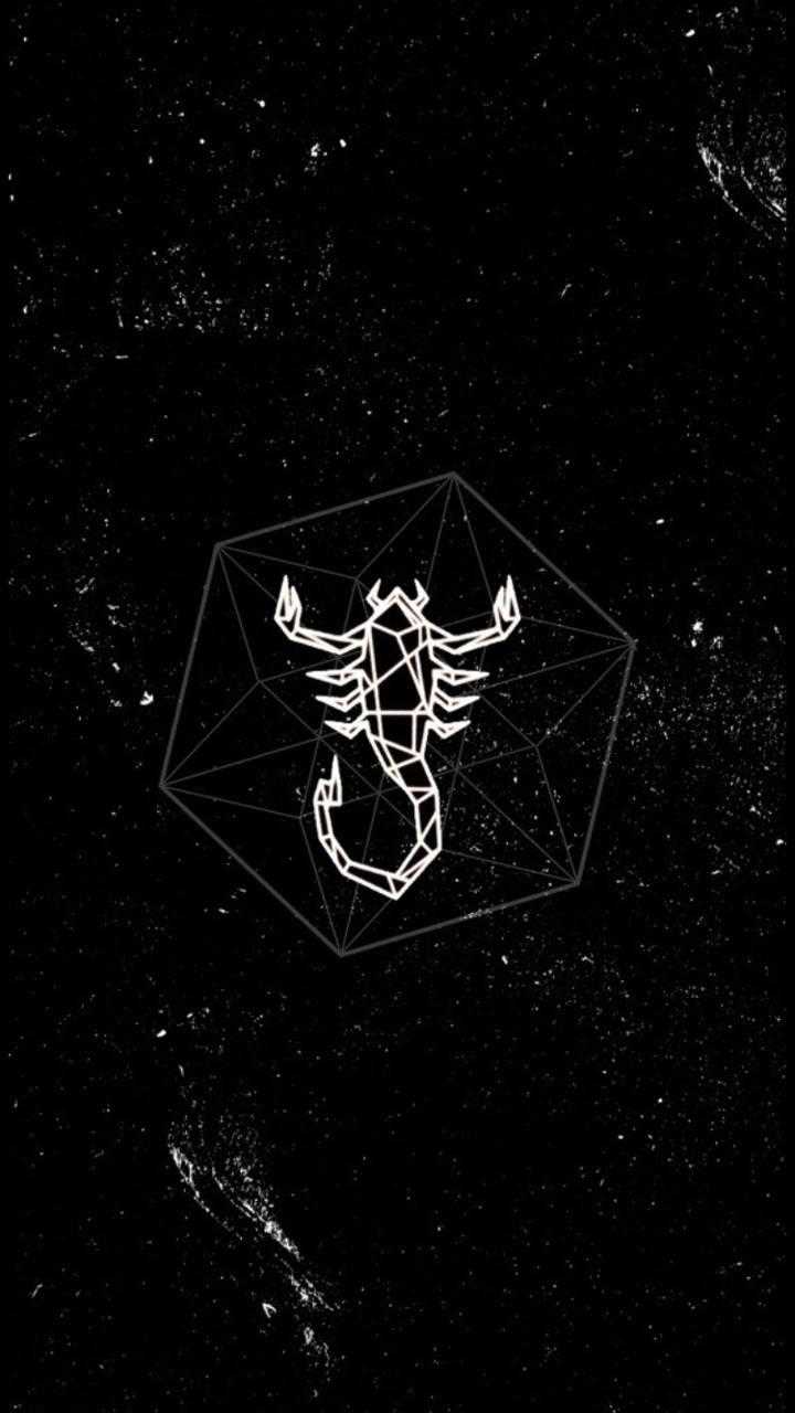 Scorpion Iphone Wallpapers