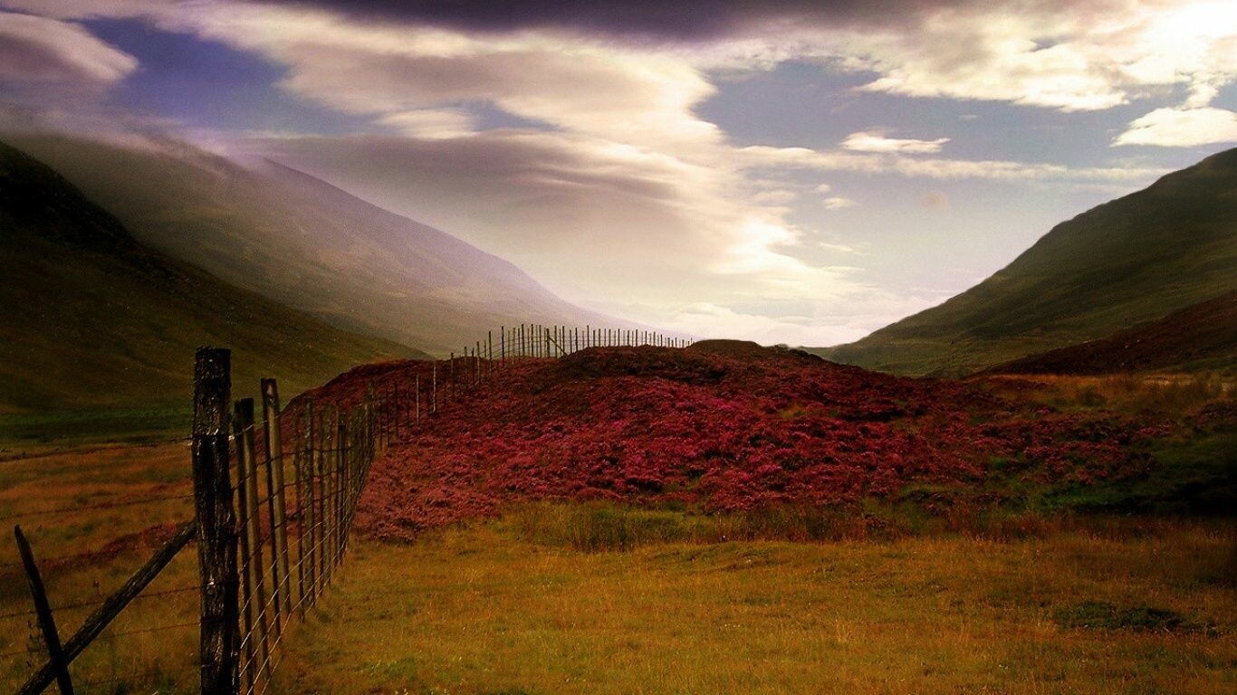 Scotland Wall Paper Wallpapers