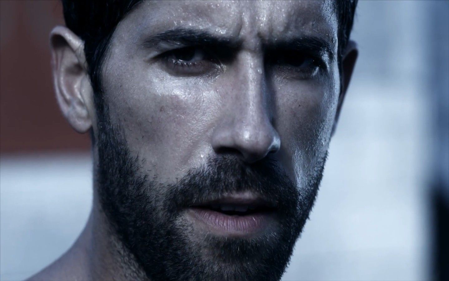 Scott Adkins Images Wallpapers