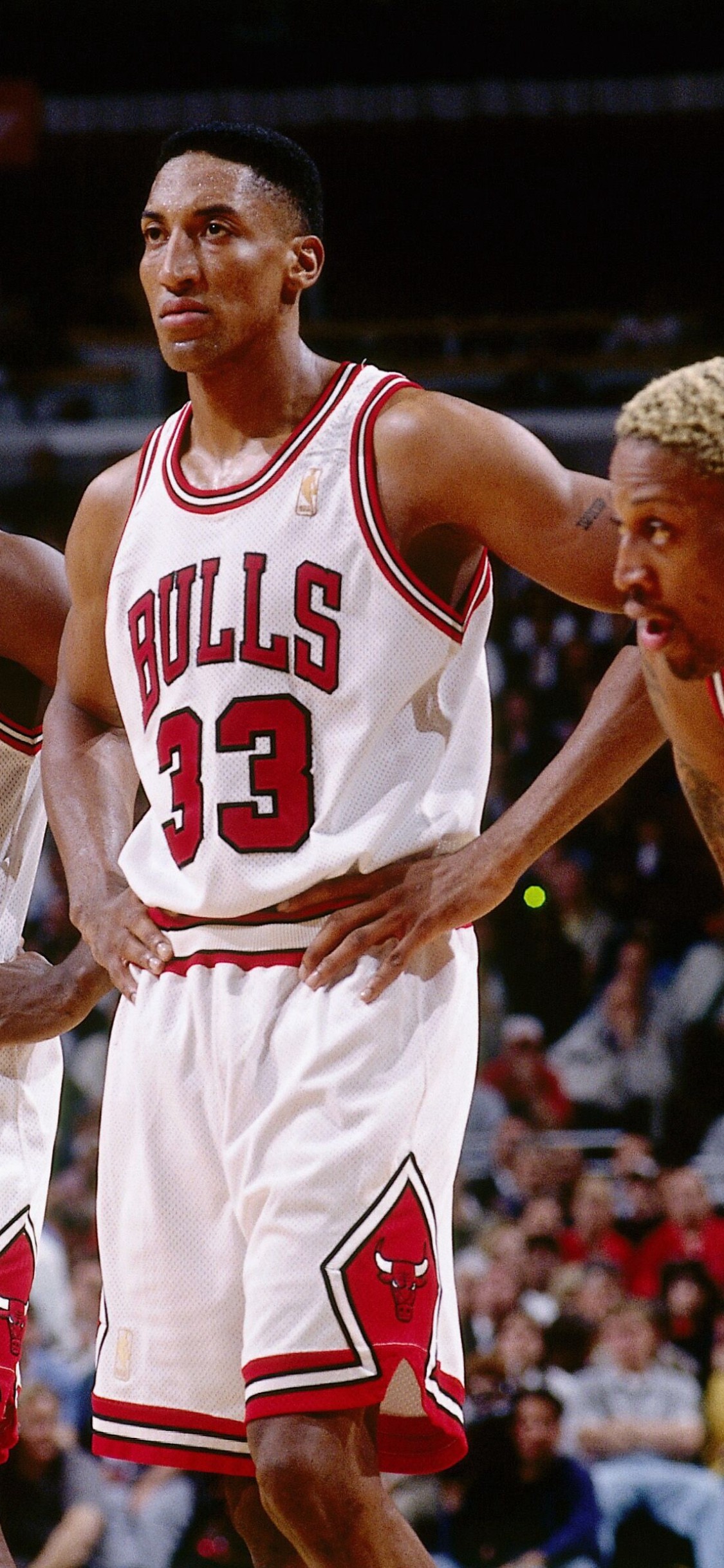 Scottie Pippen Wallpapers