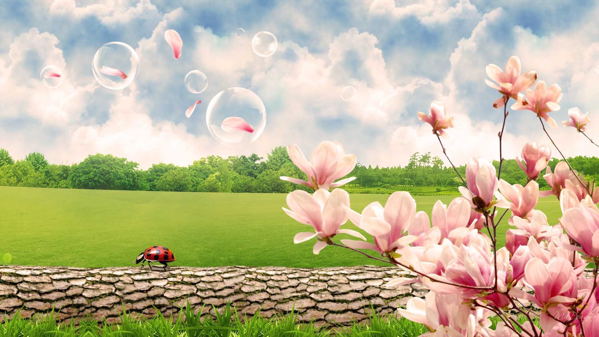 Screensavers Spring Scenes Wallpapers