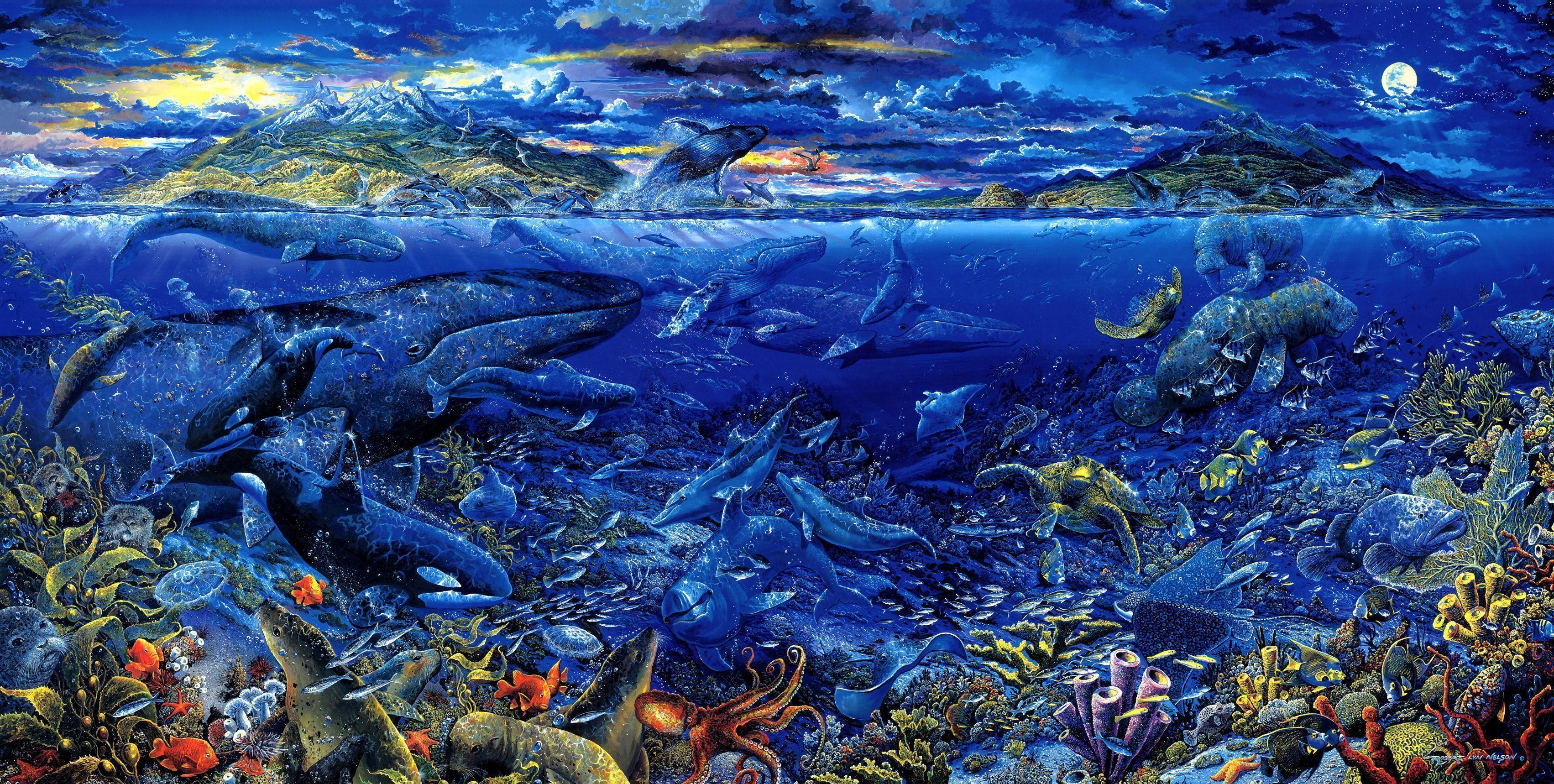 Sea Animals Wallpapers