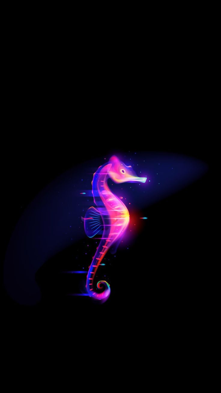 Sea Horse Wallpapers