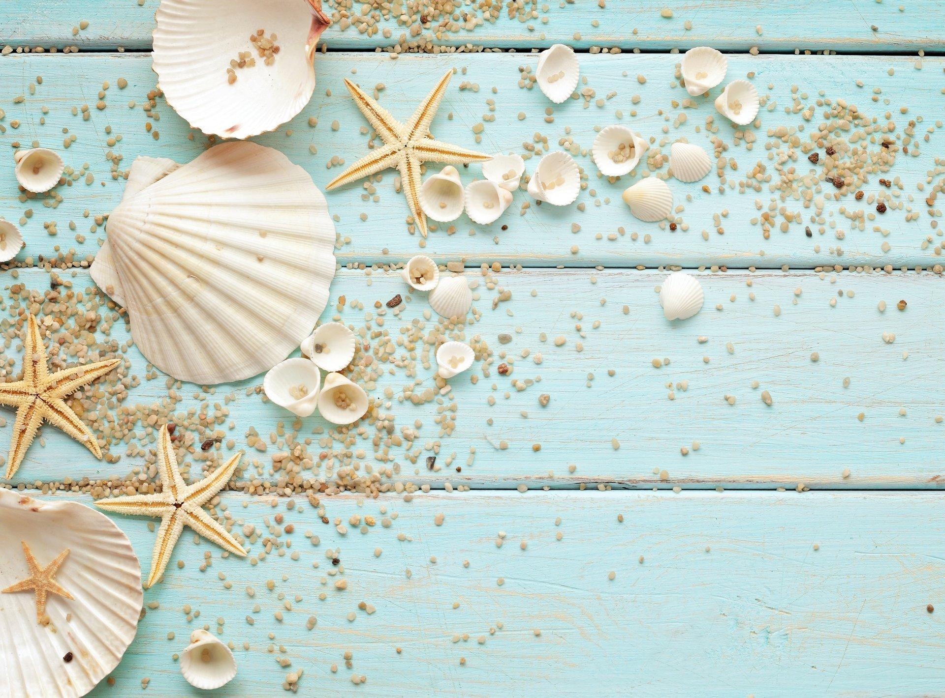 Seashell Wallpapers