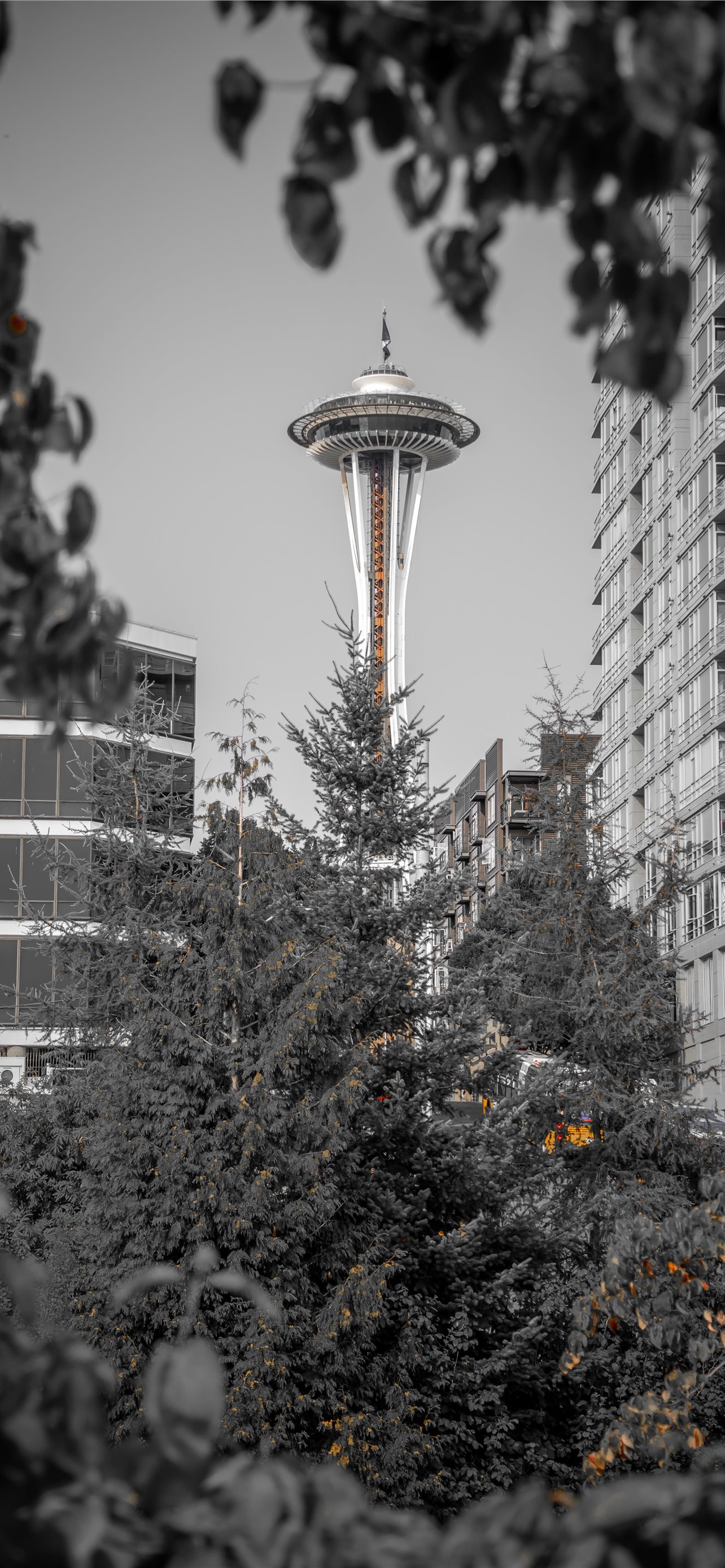 Seattle Iphone Wallpapers