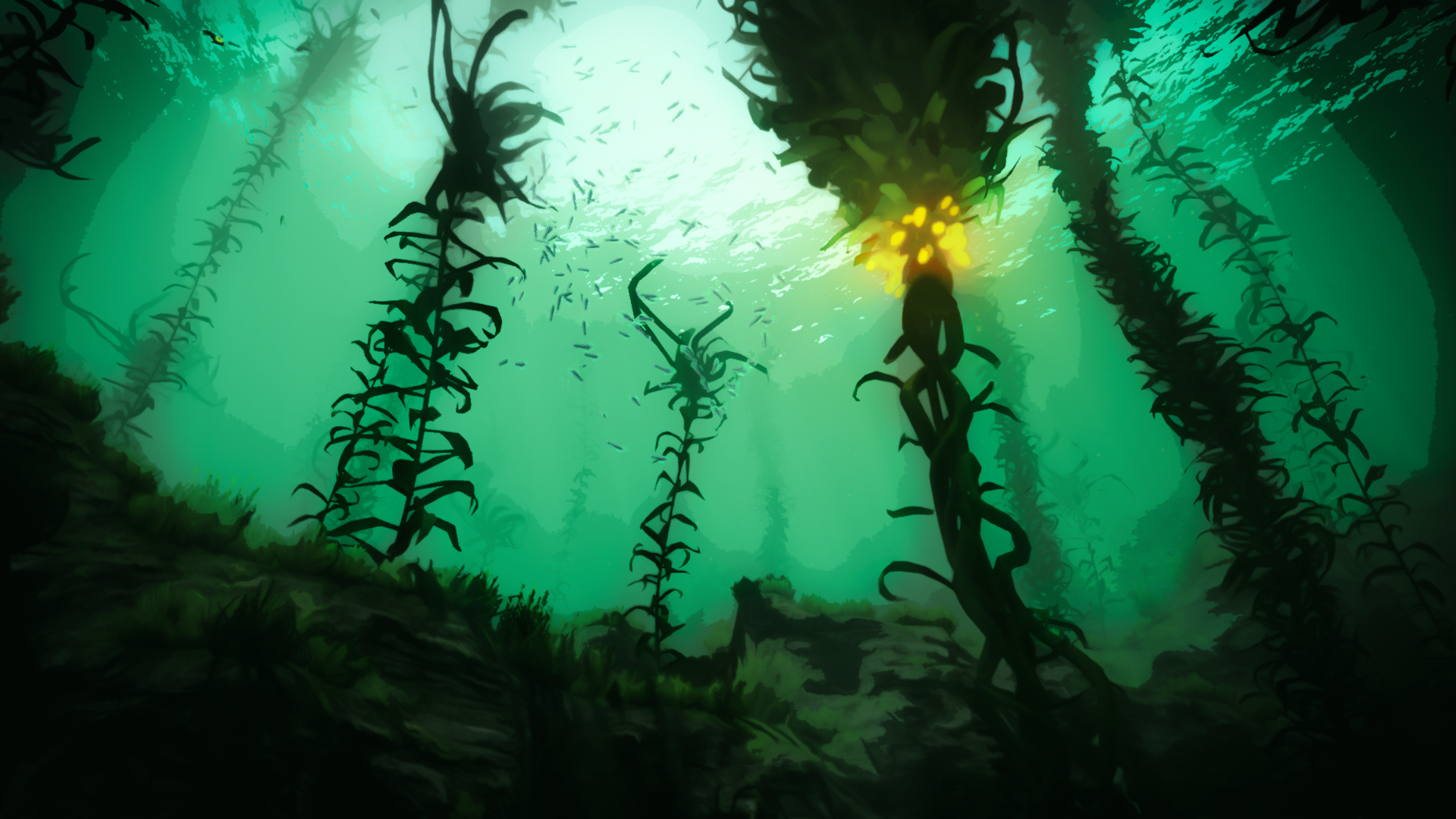 Seaweed Wallpapers