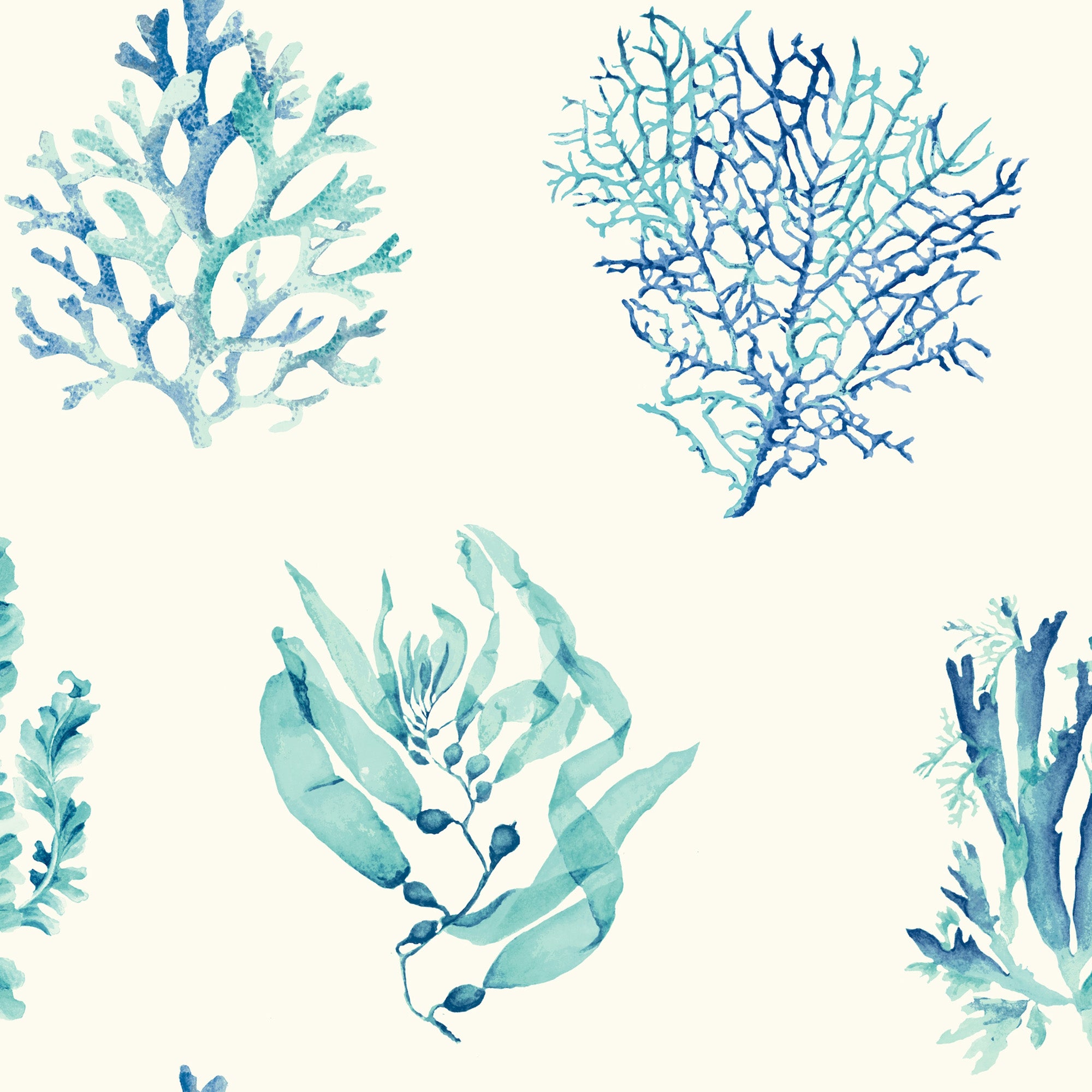 Seaweed Wallpapers