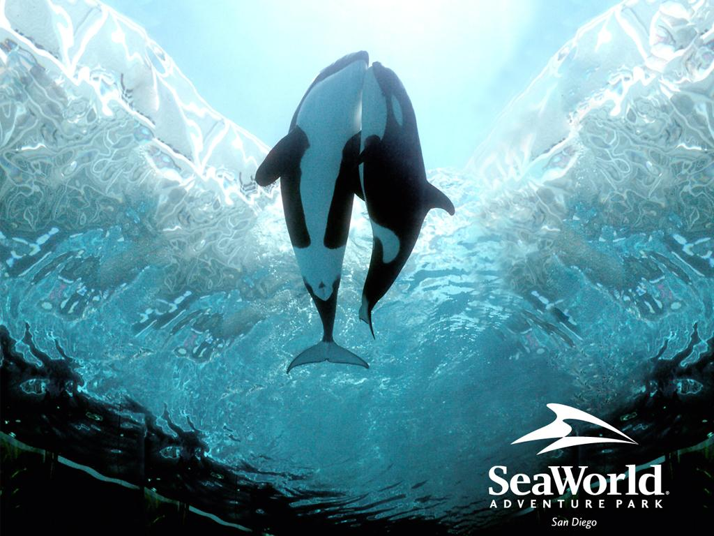 Seaworld Wallpapers