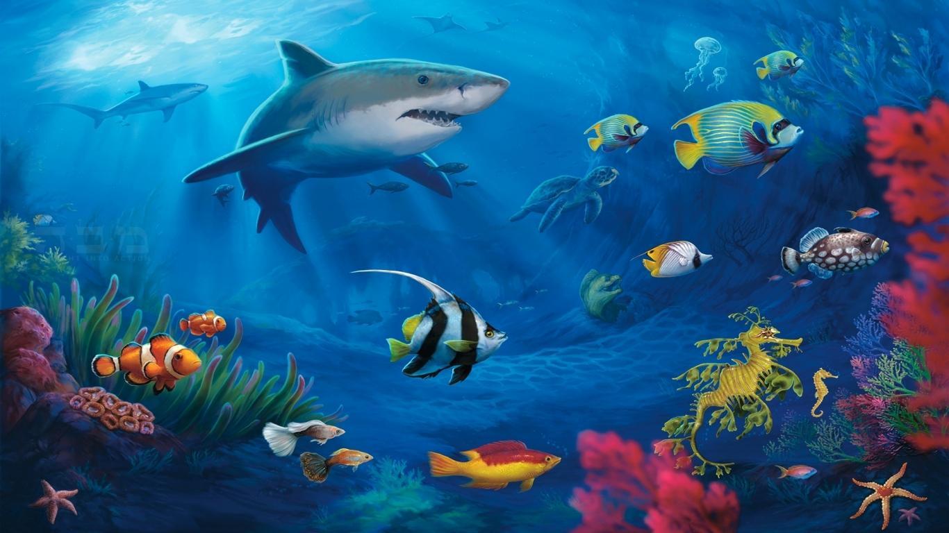 Seaworld Wallpapers