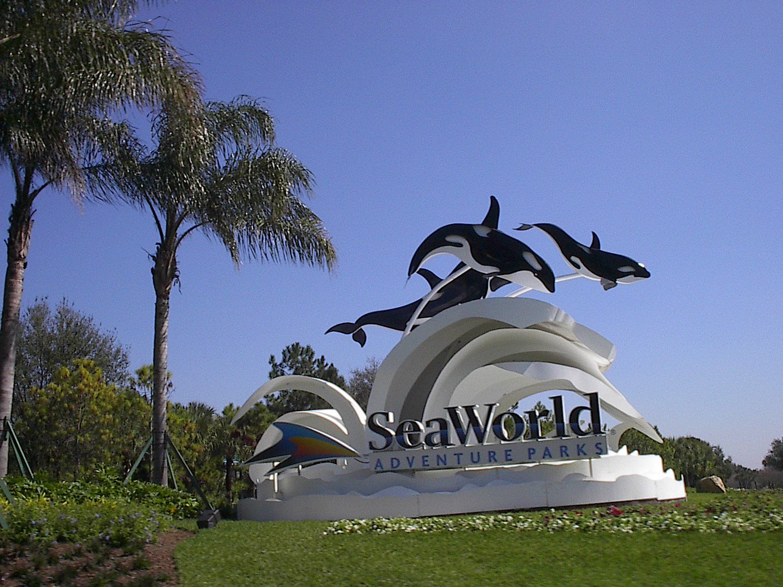 Seaworld Wallpapers