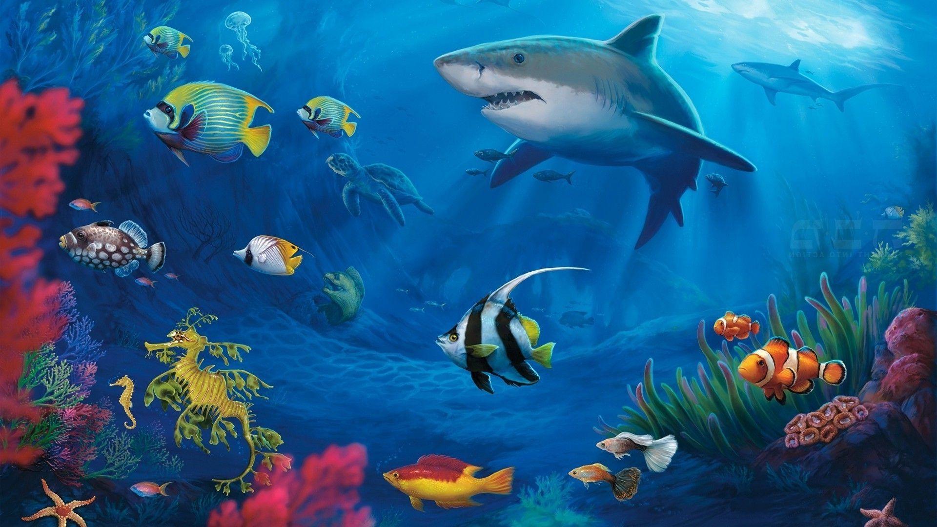 Seaworld Wallpapers