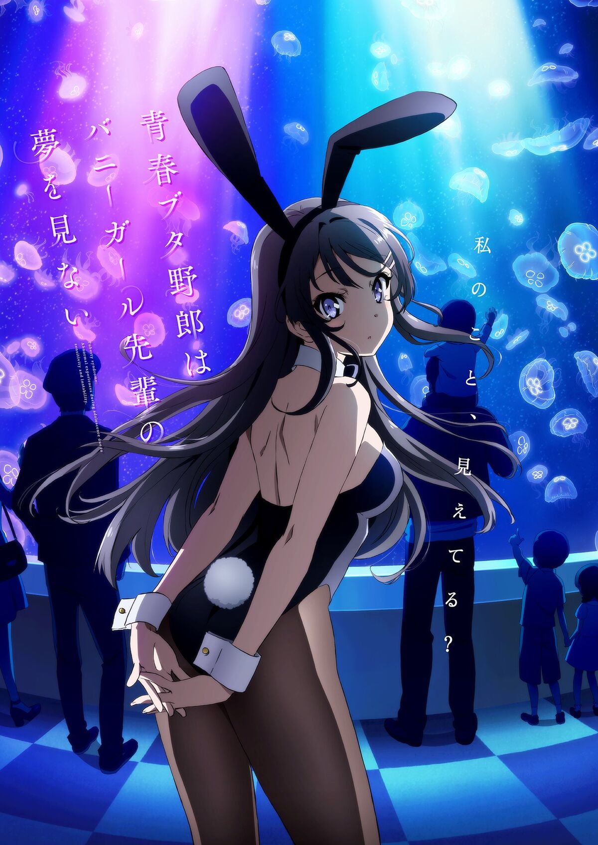 Seishun Buta Yarou Wa Bunny Girl Senpai No Yume Wo Minai Wiki Wallpapers