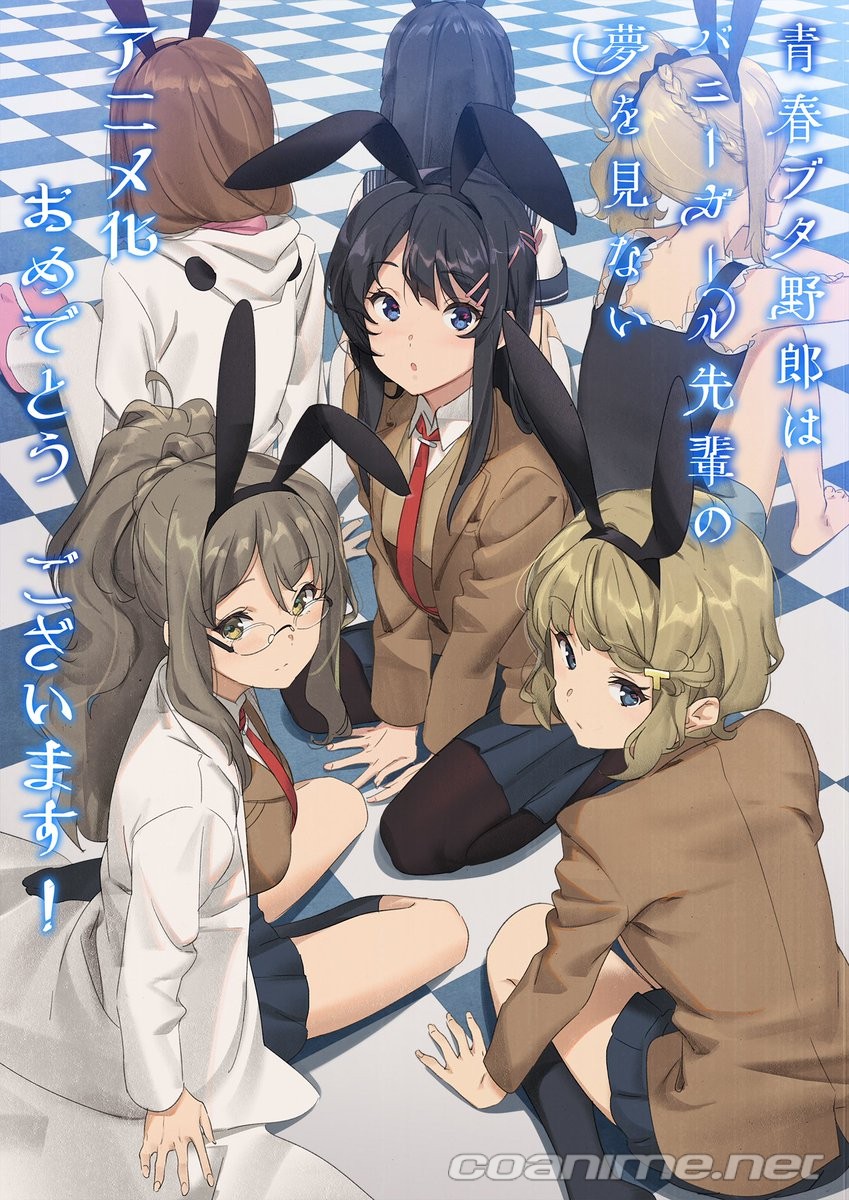 Seishun Buta Yarou Wa Bunny Girl Senpai No Yume Wo Minai Wiki Wallpapers