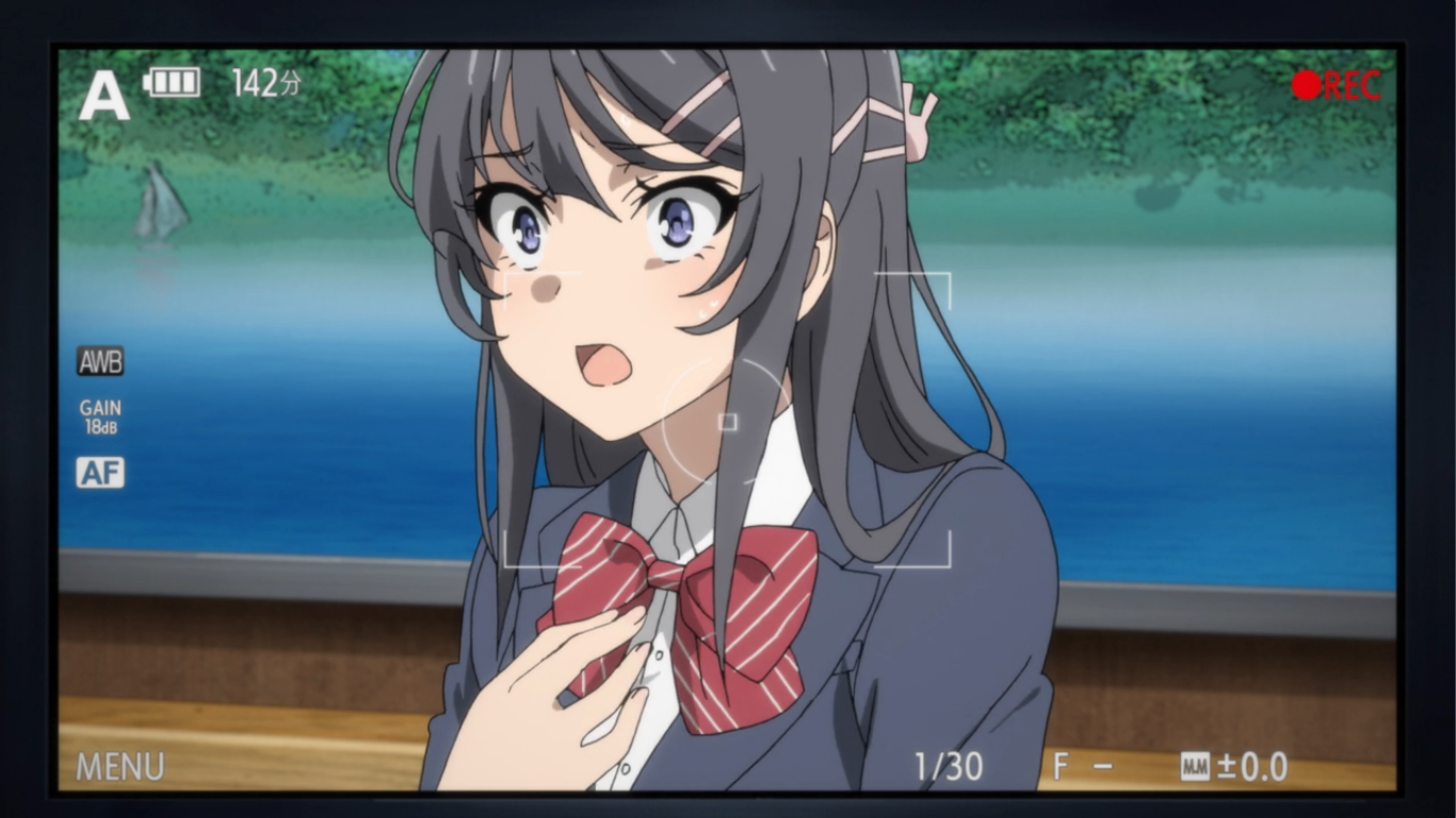 Seishun Buta Yarou Wa Bunny Girl Senpai No Yume Wo Minai Wiki Wallpapers