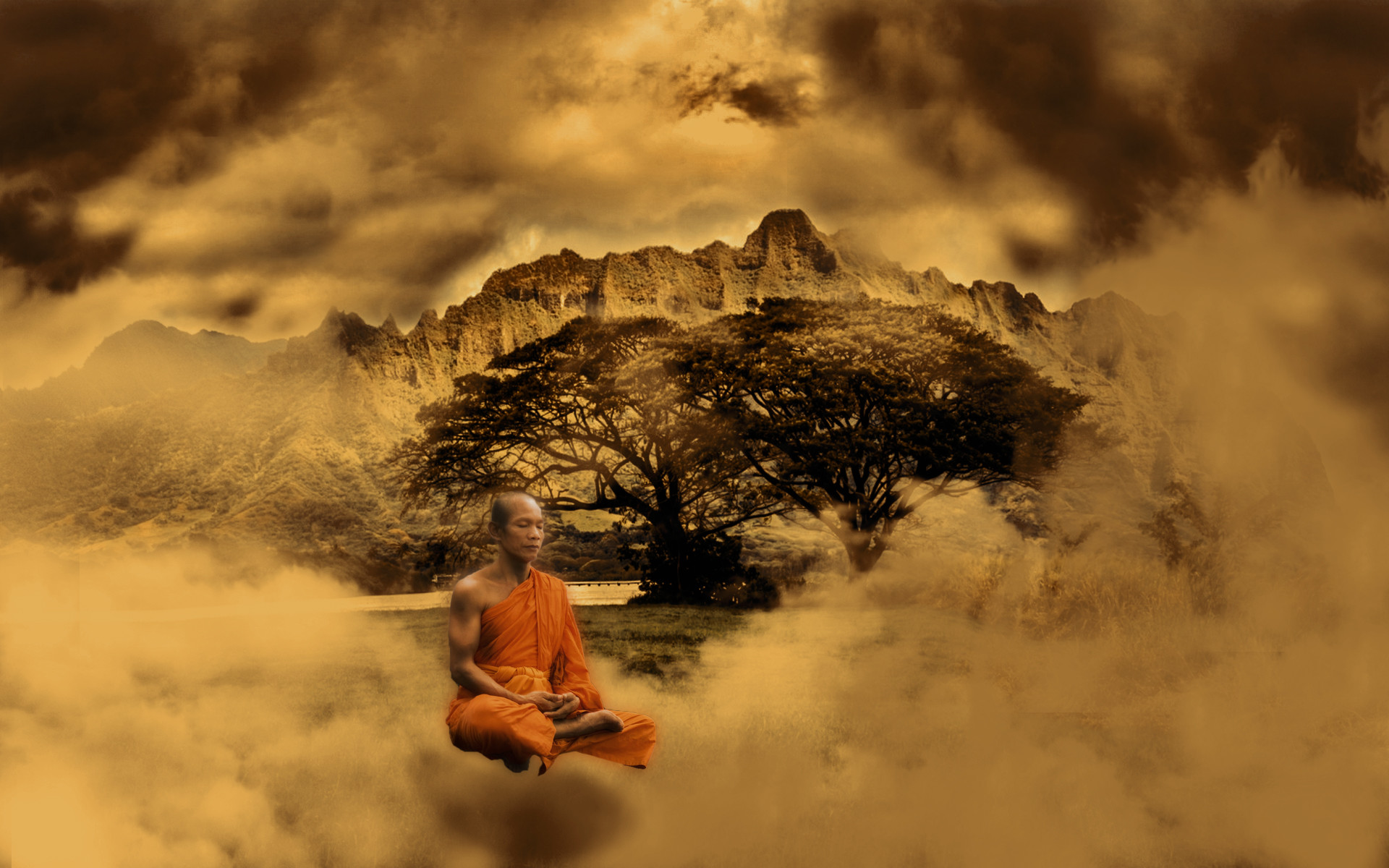 Shaolin Monk Wallpapers