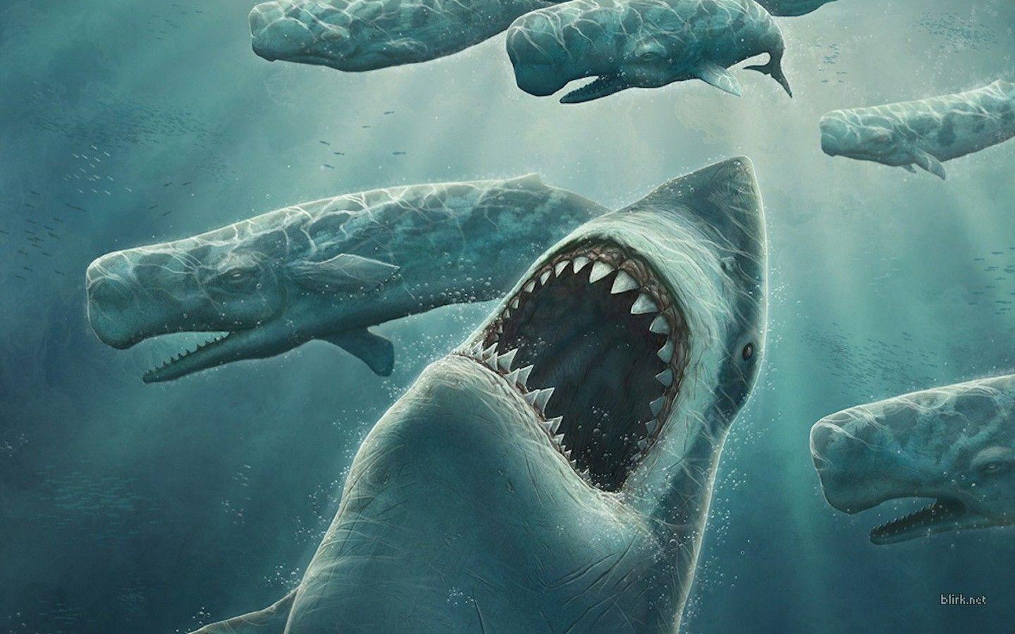 Shark Computer Wallpapers