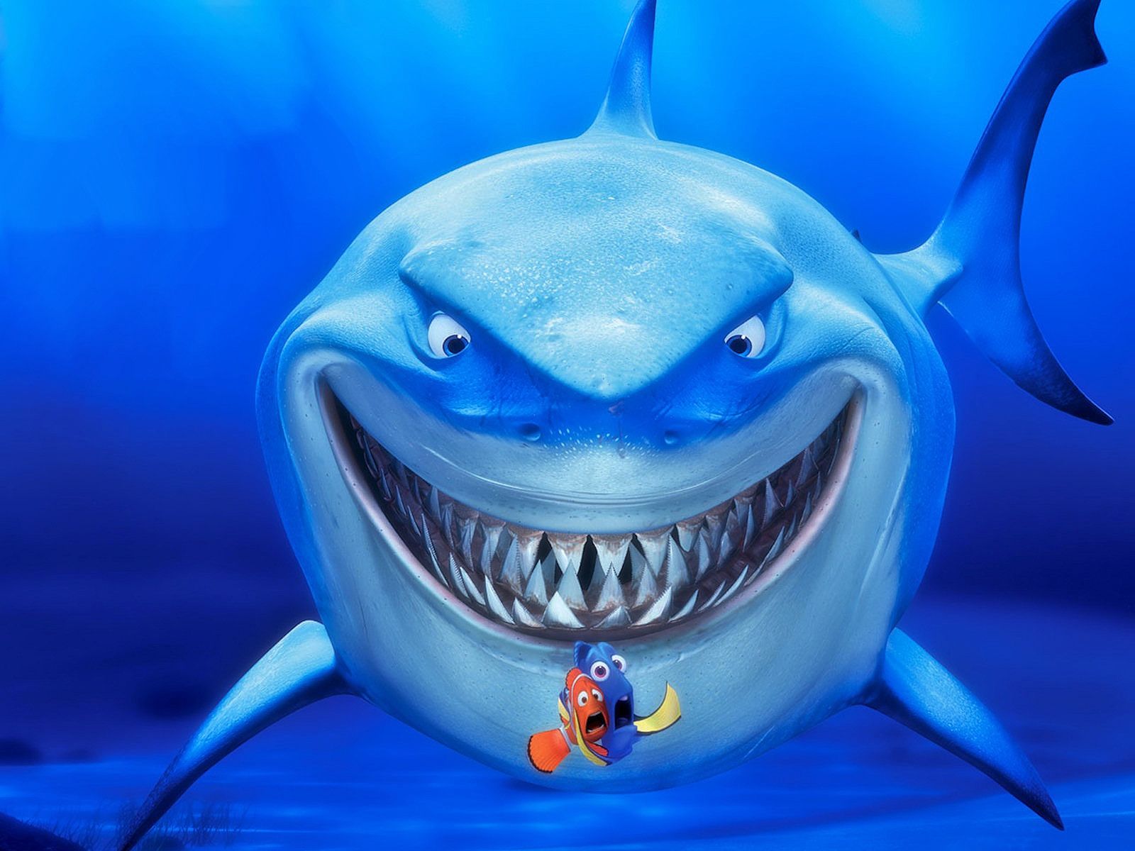 Shark From Nemo Wallpapers