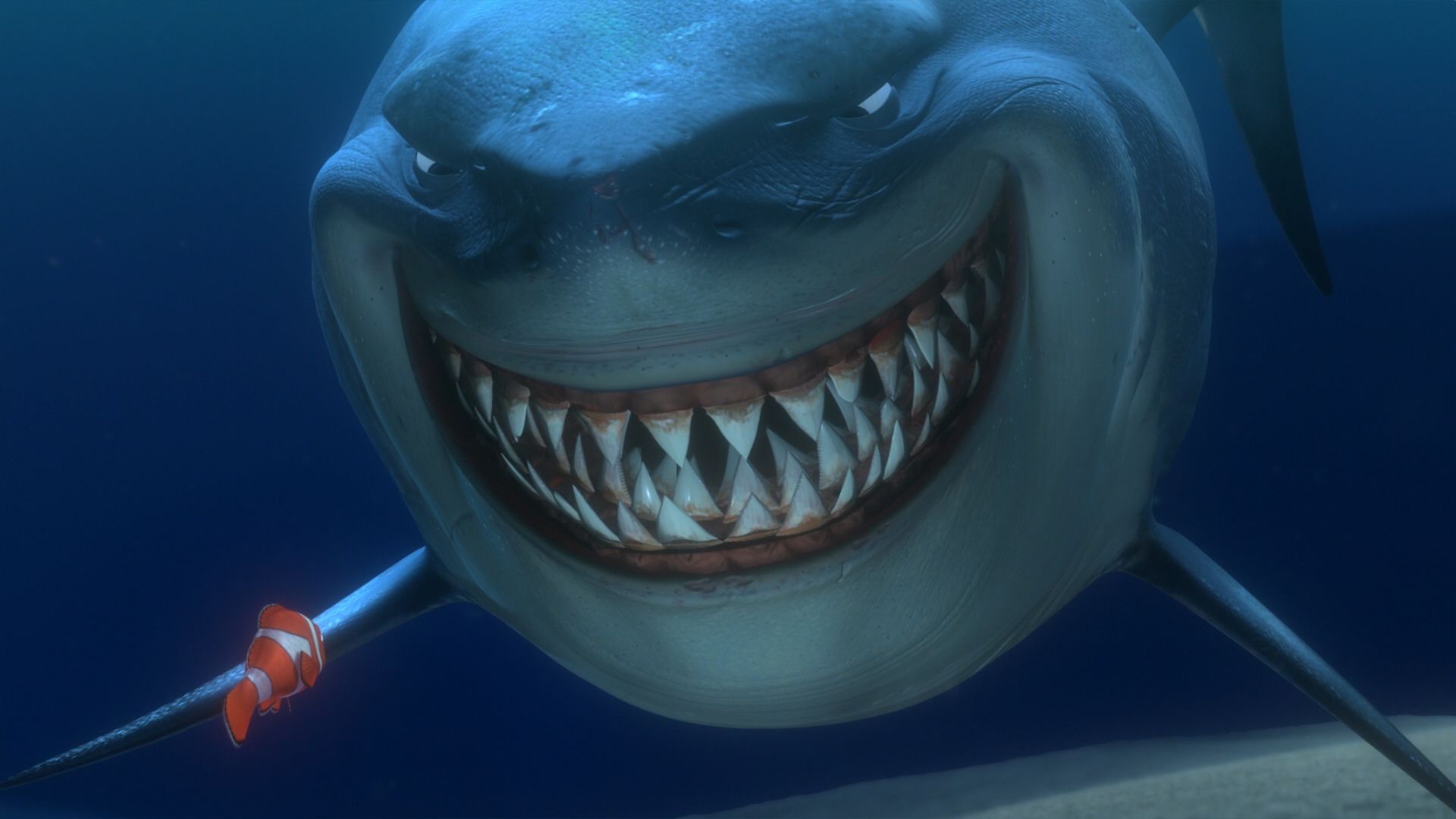 Shark From Nemo Wallpapers