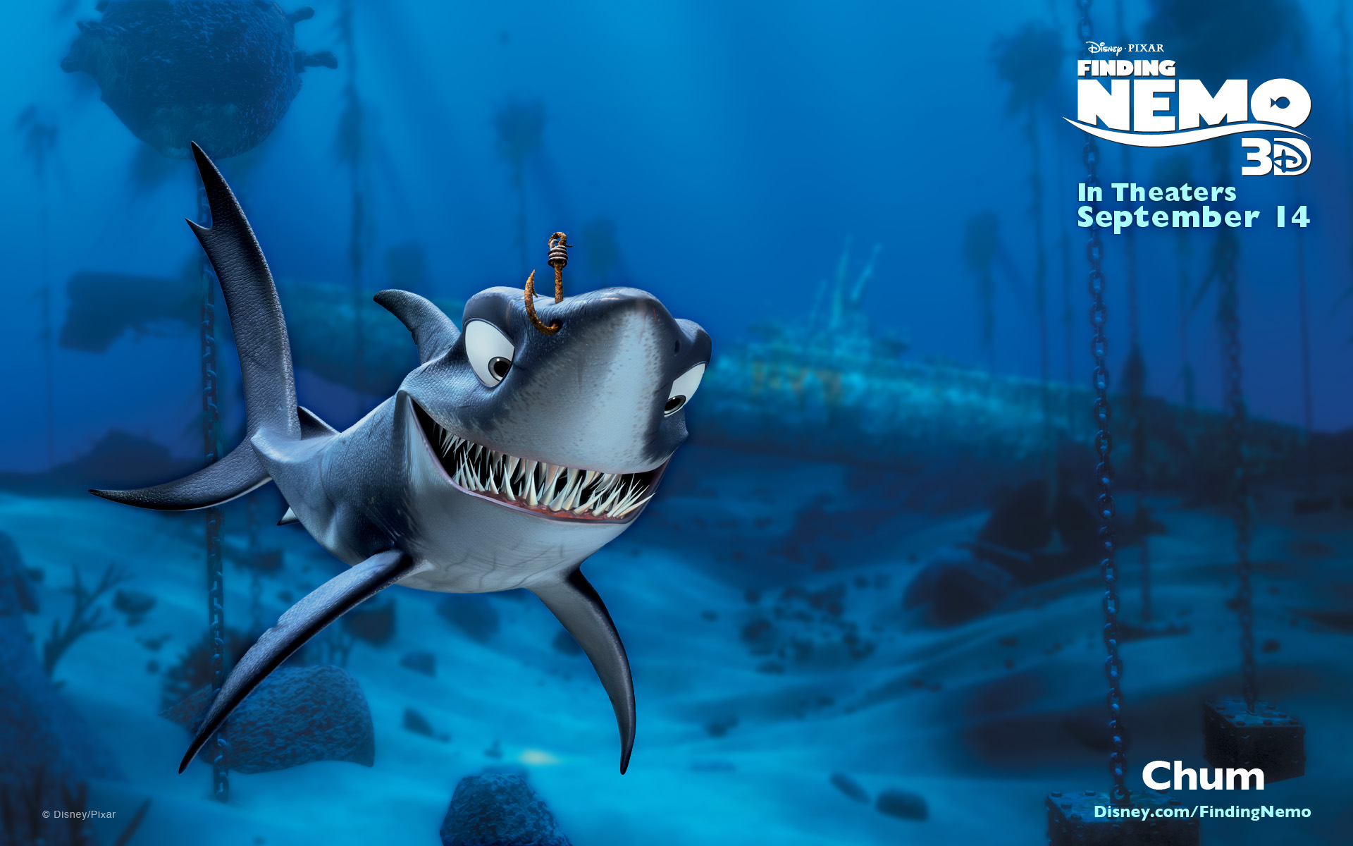 Shark From Nemo Wallpapers