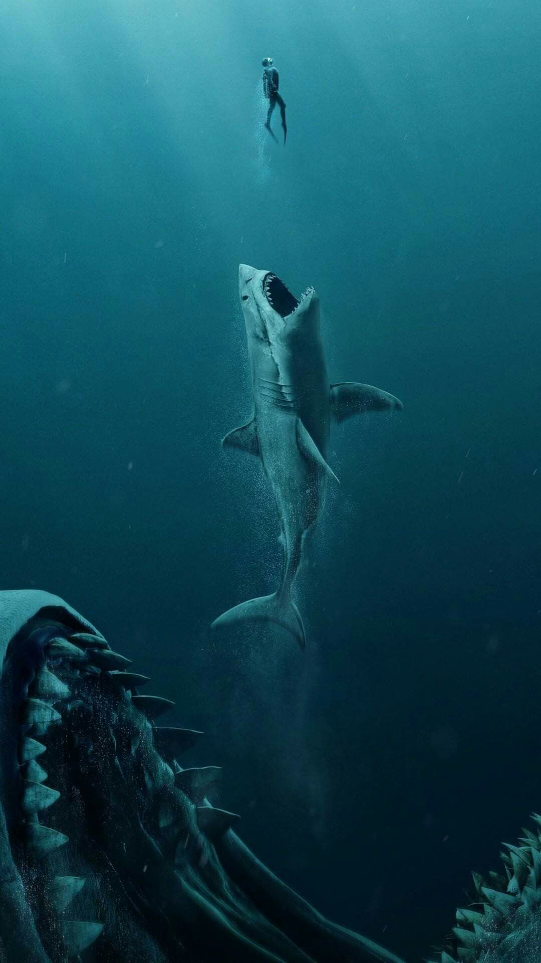 Shark Phone Wallpapers