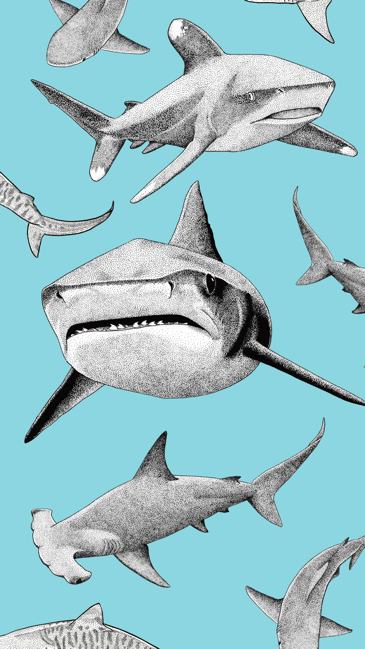 Shark Phone Wallpapers