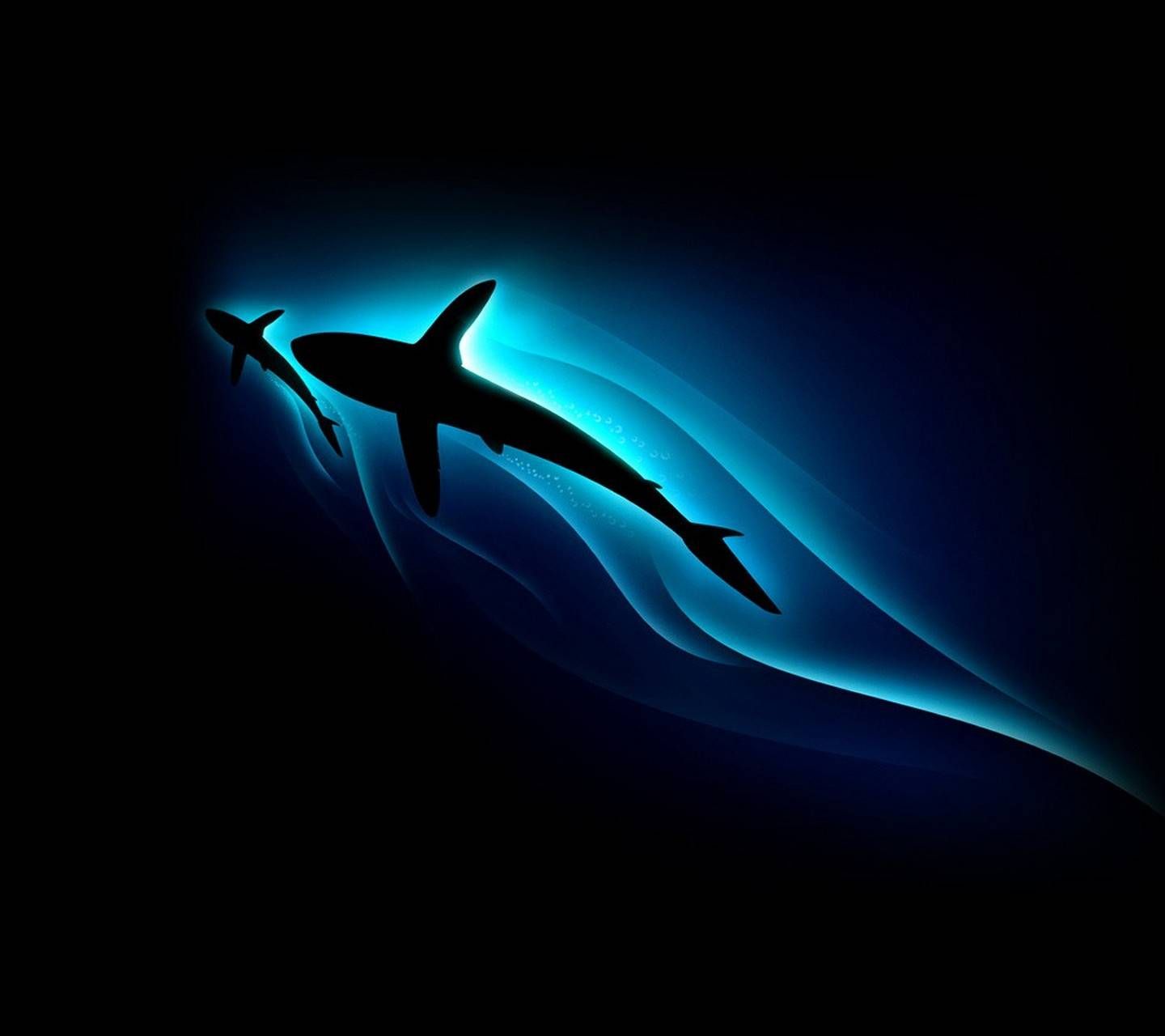 Shark Puppet Wallpapers