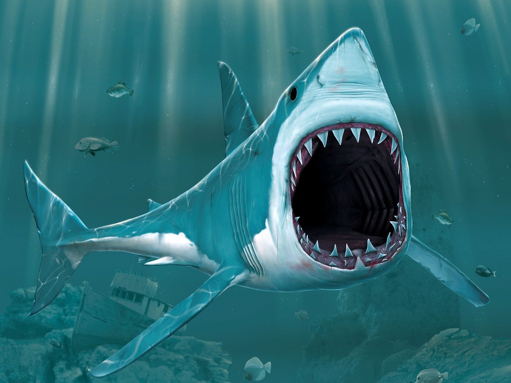 Sharks Scary Wallpapers