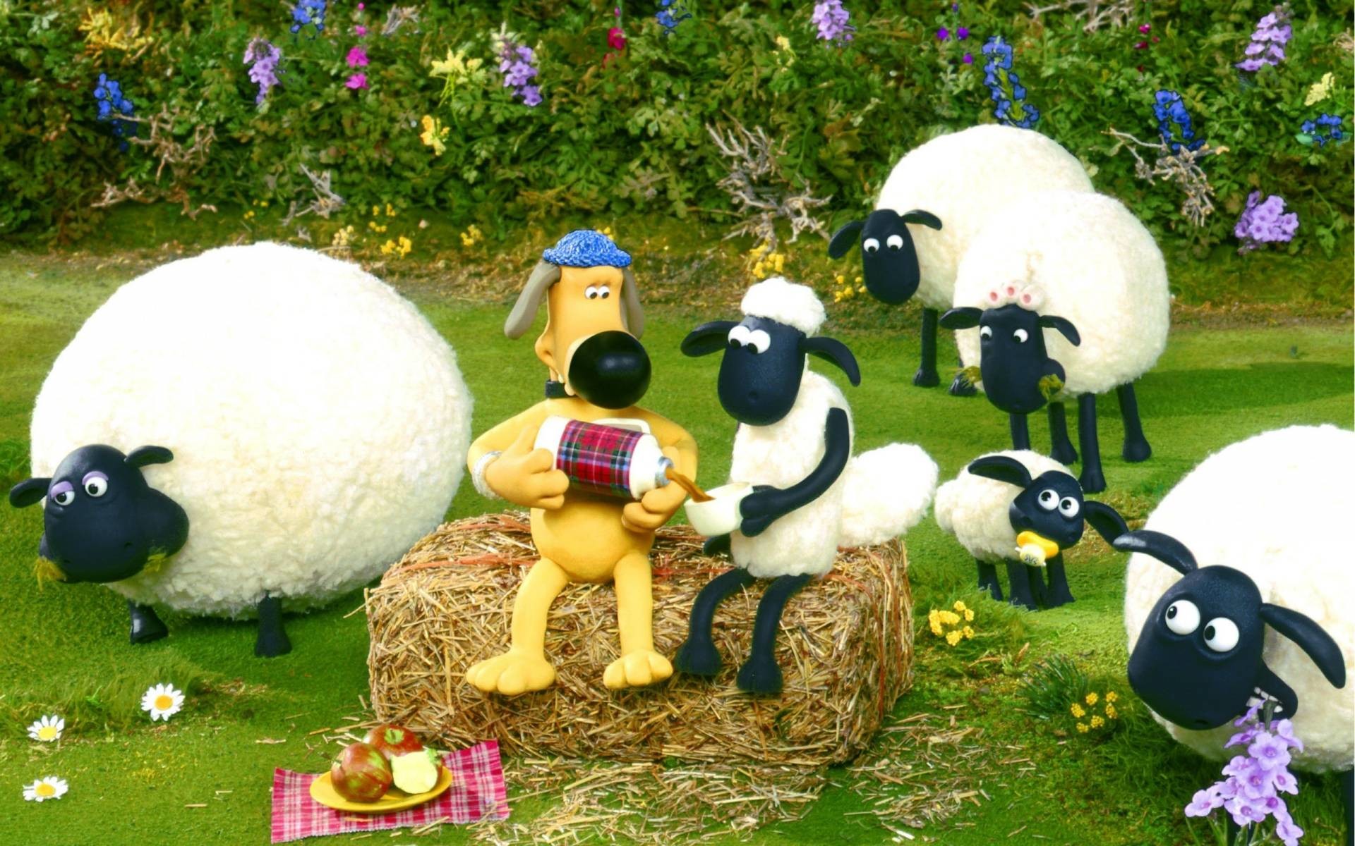 Shaun The Sheep Pic Wallpapers