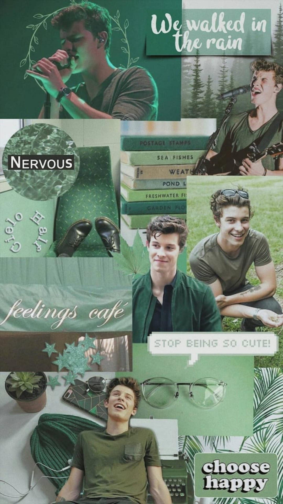 Shawn Mendes Aesthetic Wallpapers