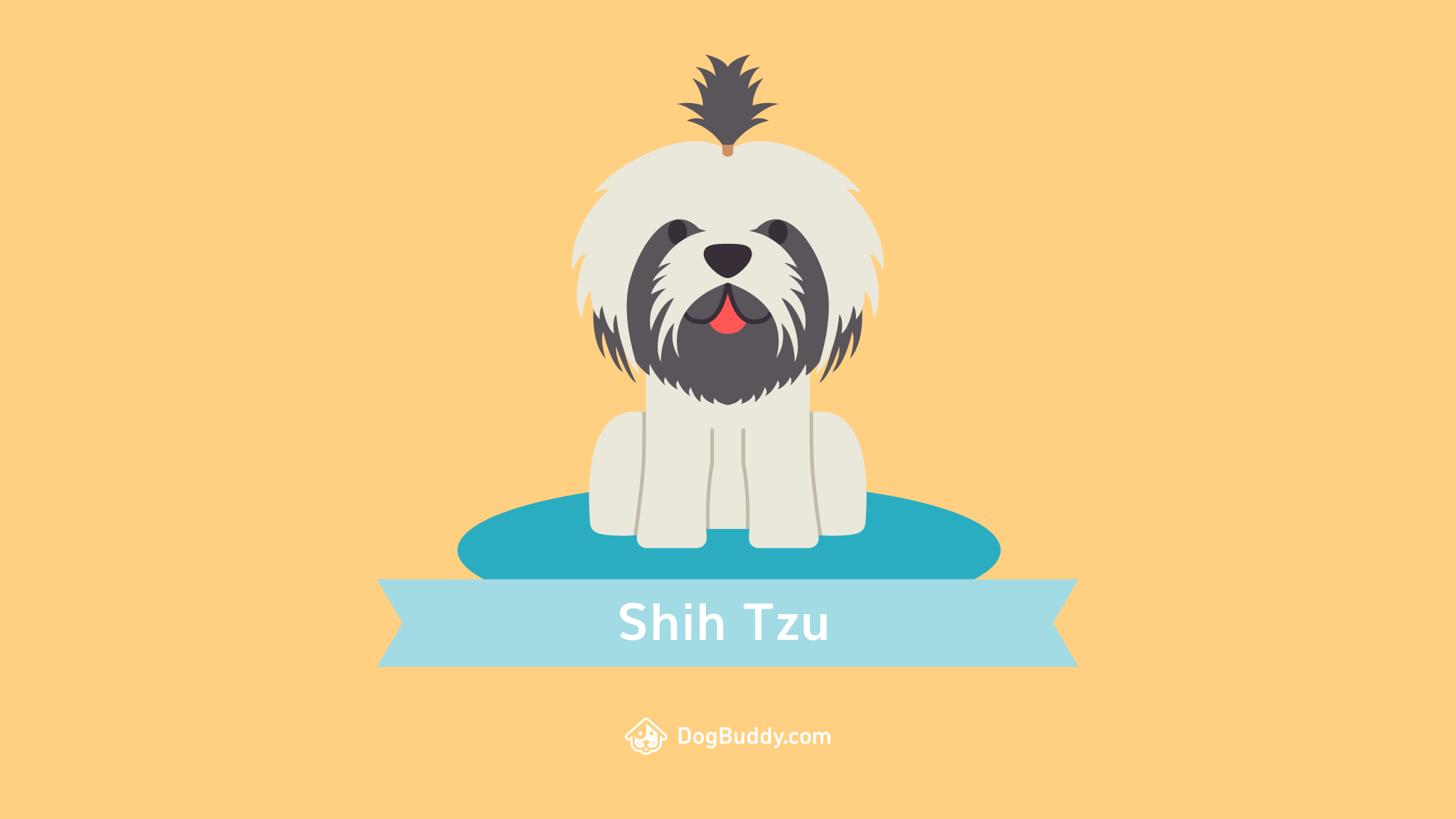 Shi Tzu Wallpapers