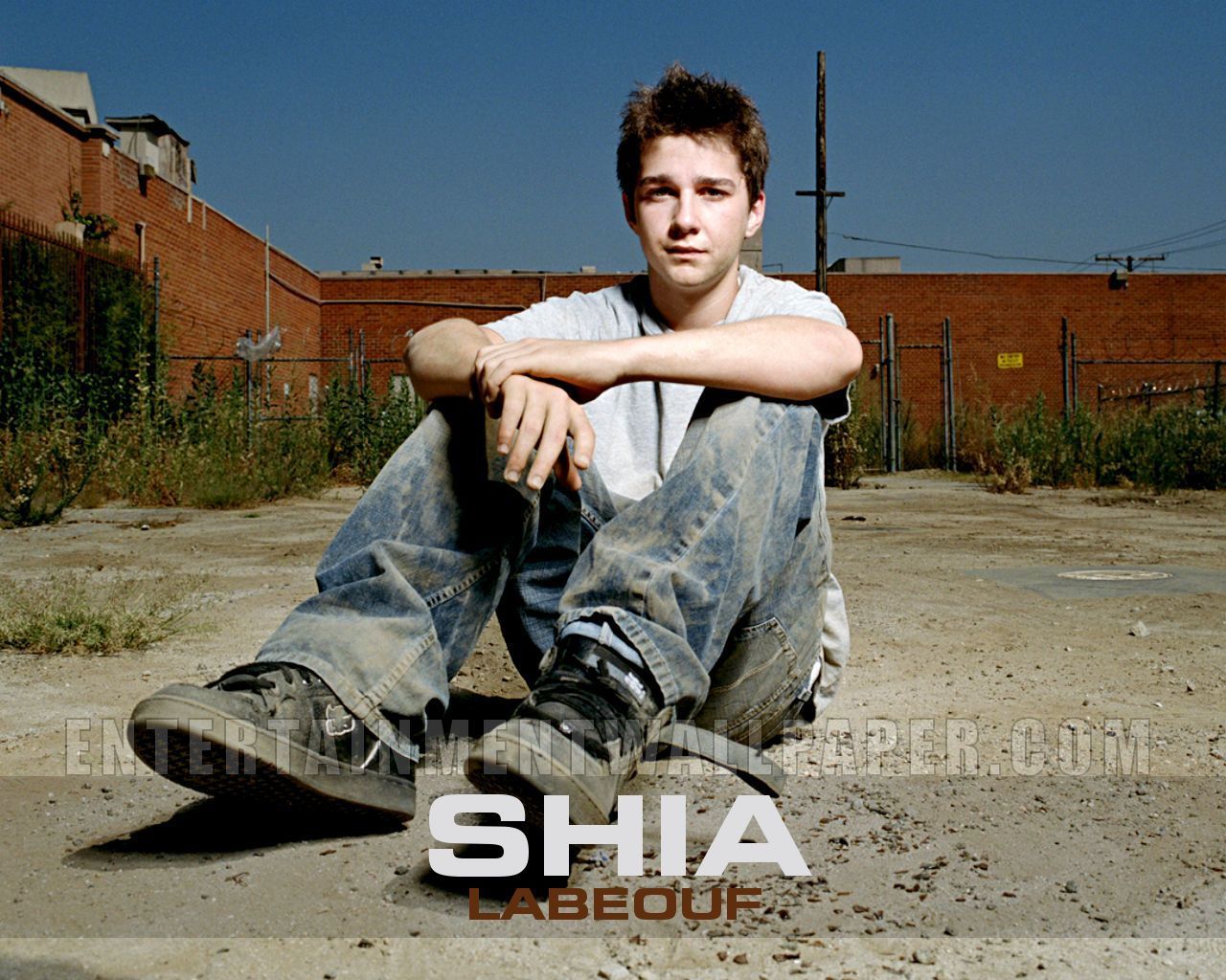 Shia Laboeuf Wallpapers