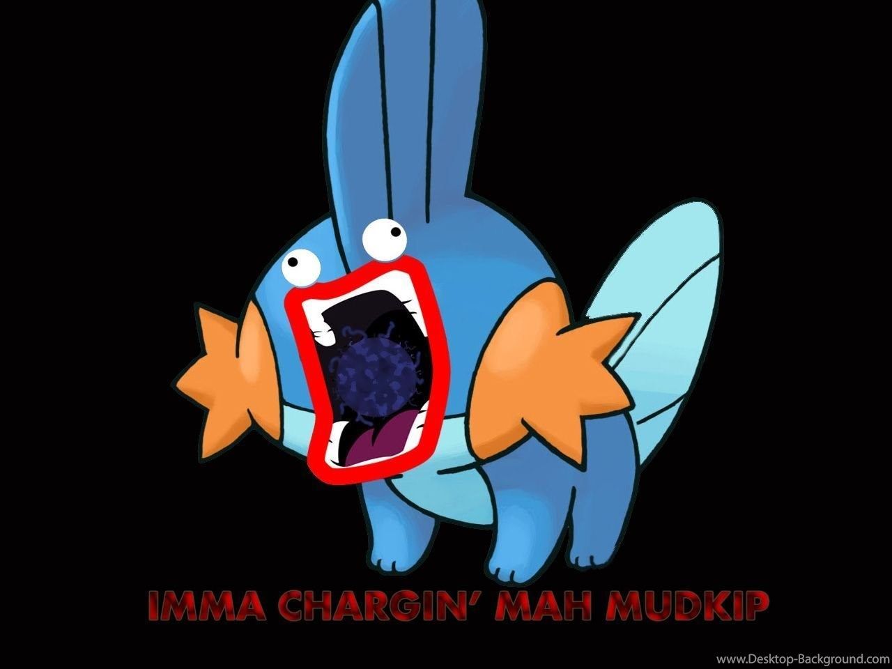 Shiny Mudkip Wallpapers