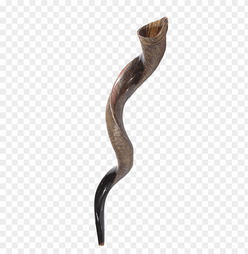 Shofar Wallpapers