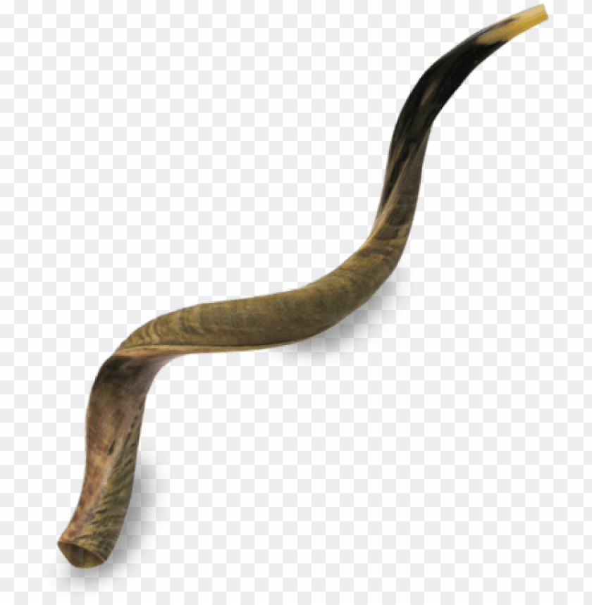 Shofar Wallpapers