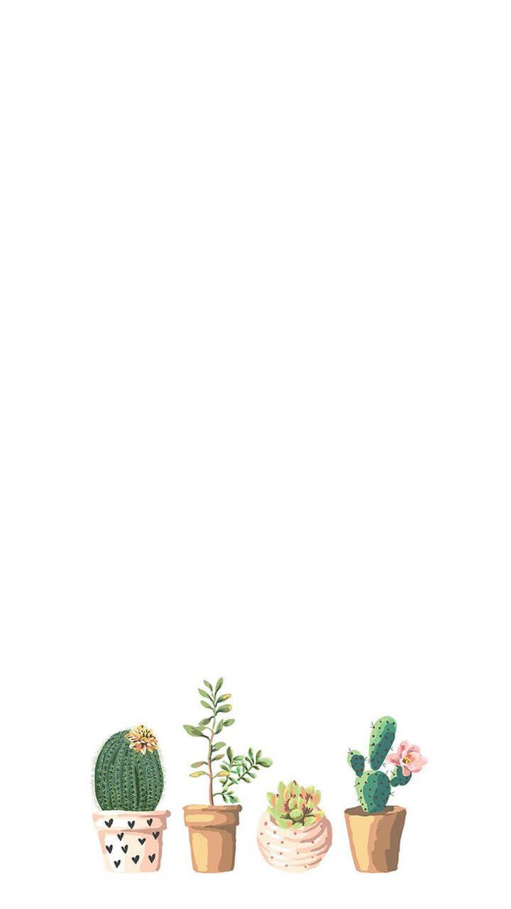 Simple Plant Wallpapers