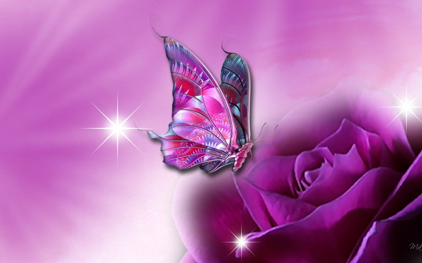 Single Butterfly Wallpapers