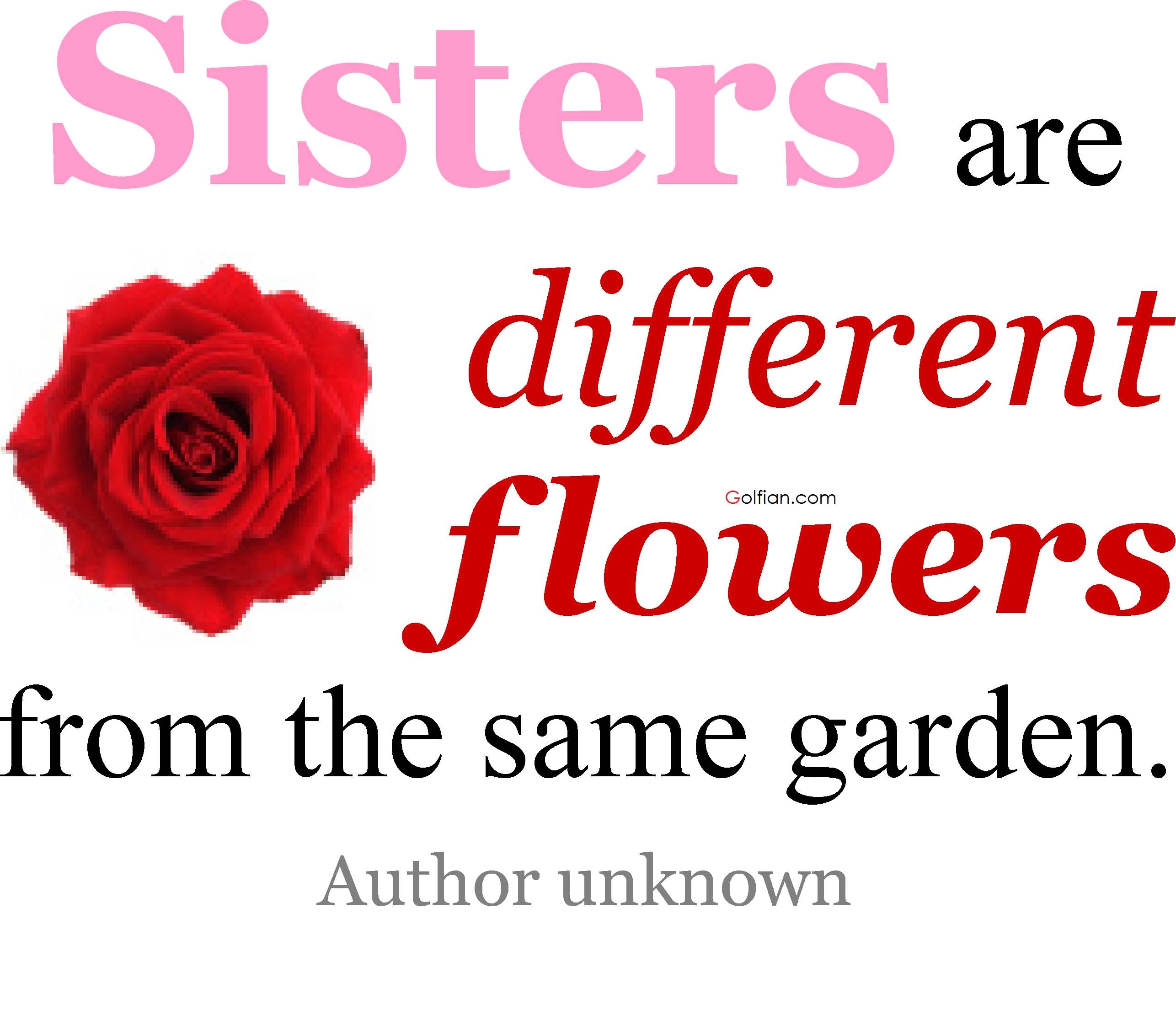 Sister Quotes Images Wallpapers