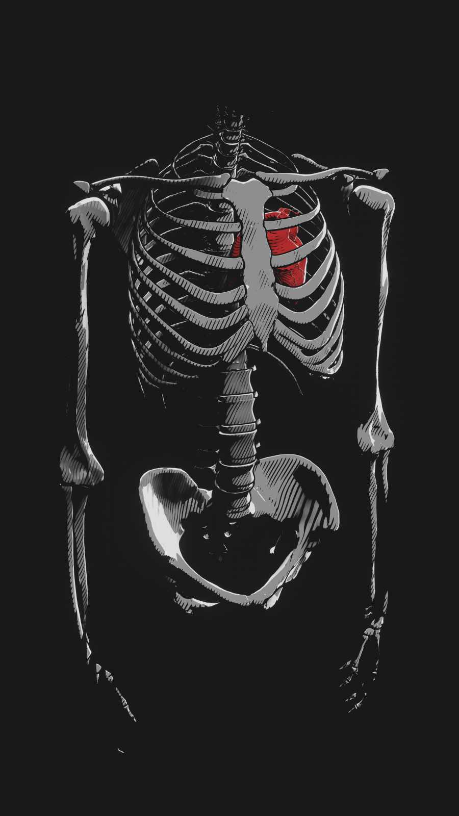 Skeleton Iphone Wallpapers