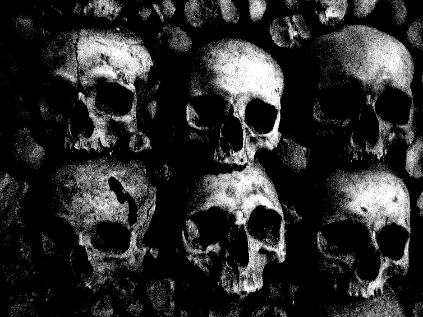 Skull Tumblr Wallpapers