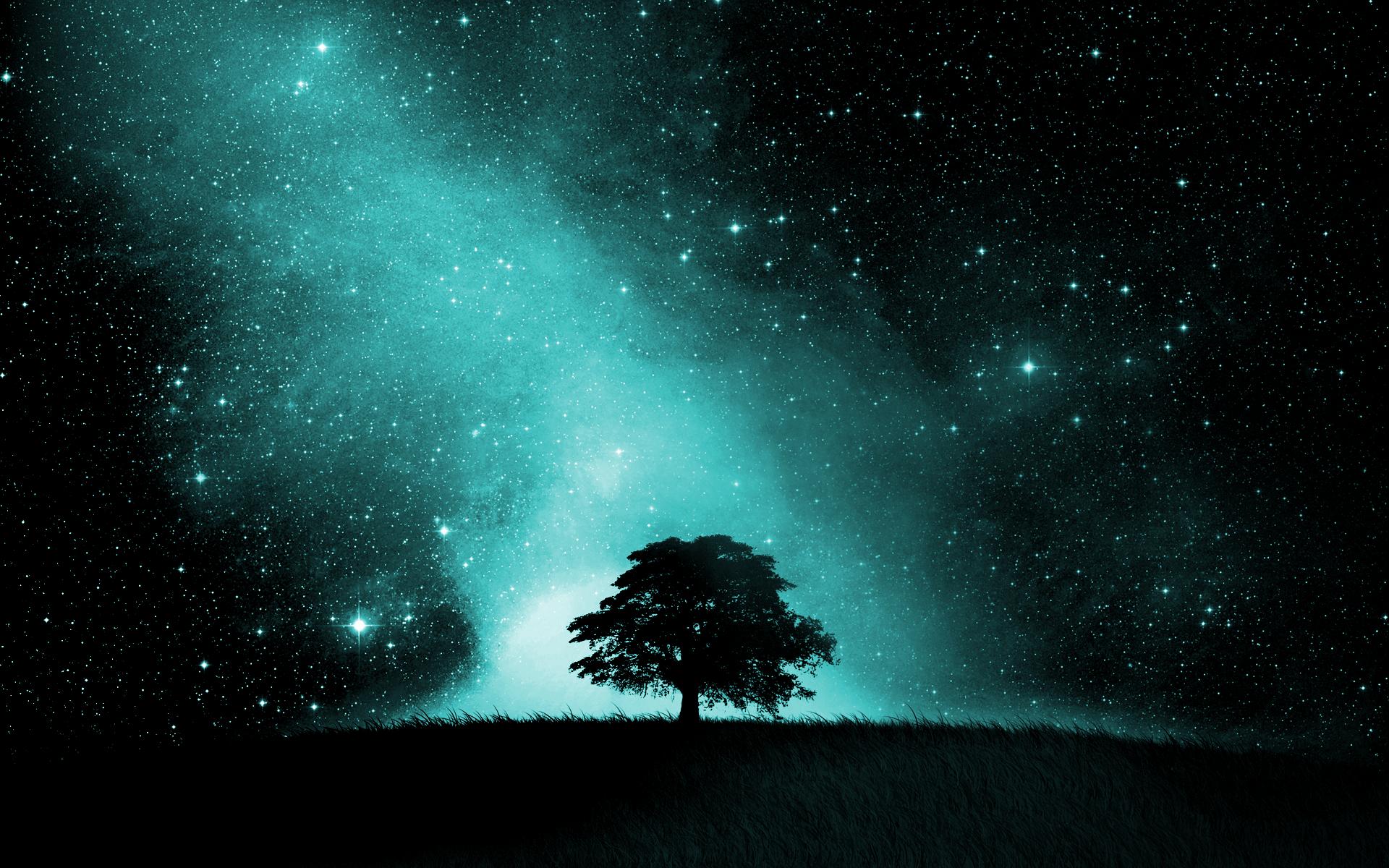 Sky Full Of Stars Hd Wallpapers