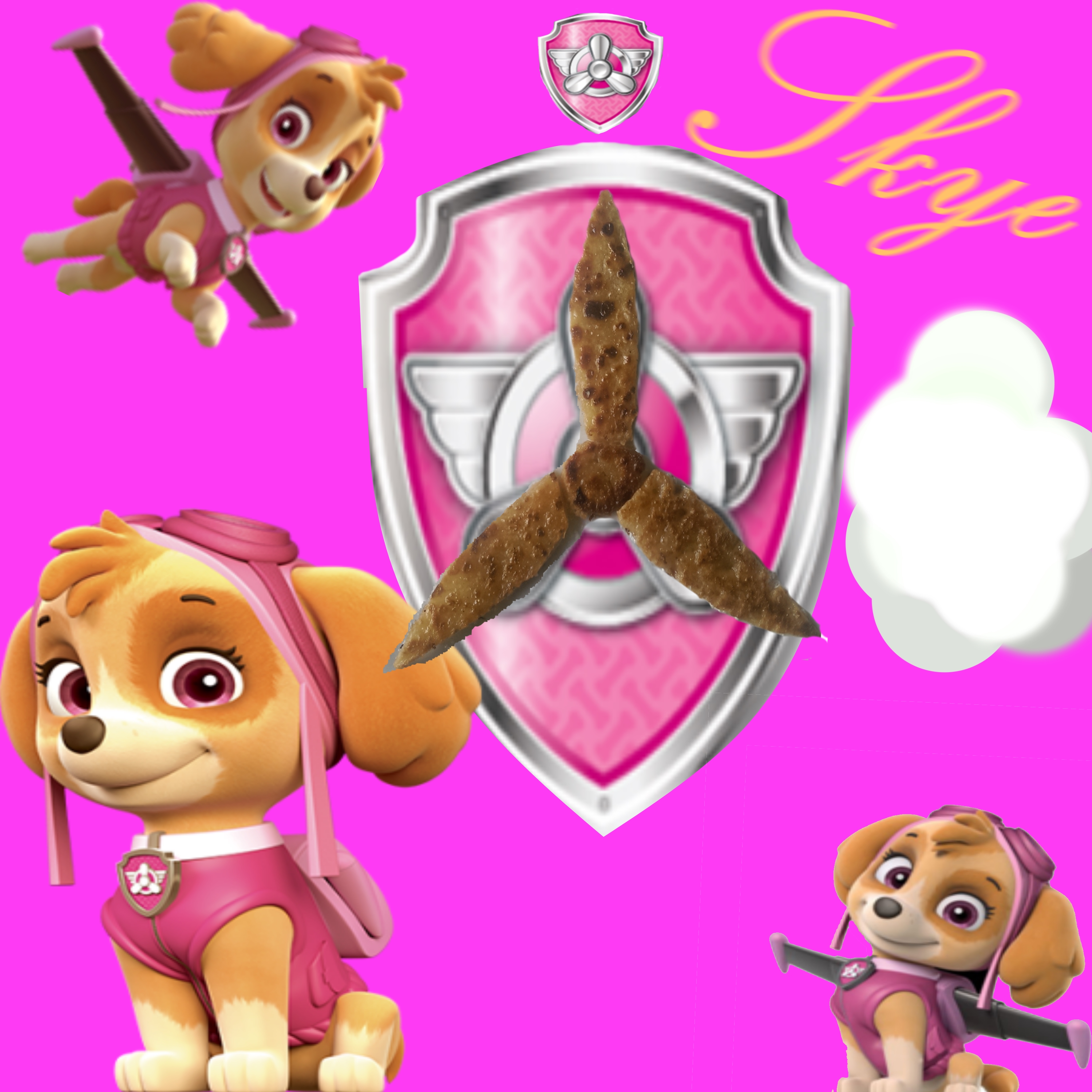 Skye Paw Patrol Wallpapers