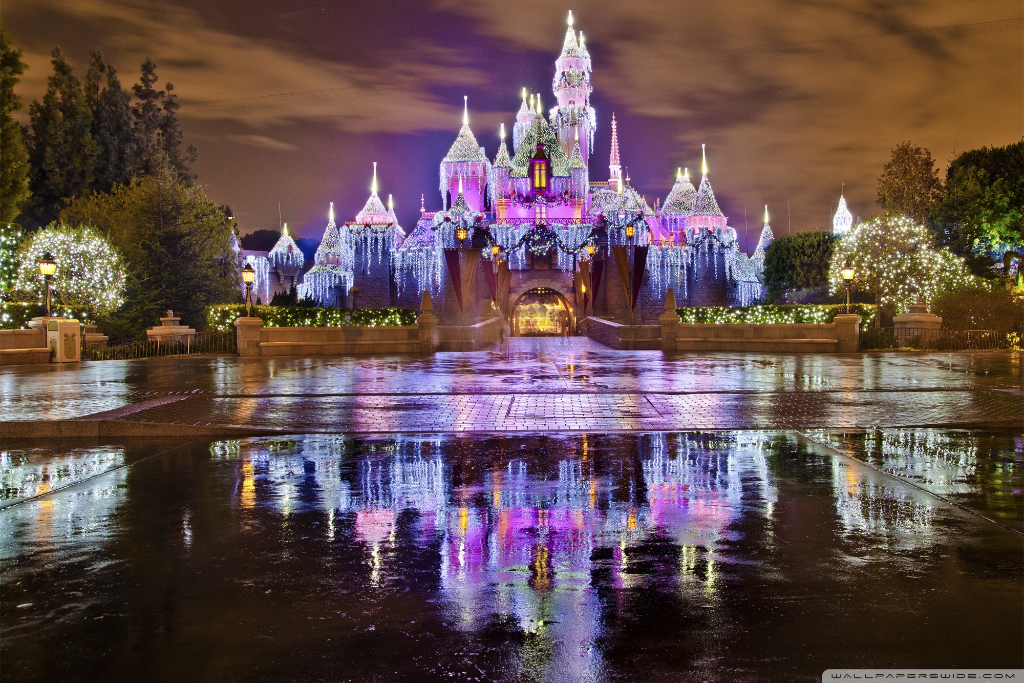 Sleeping Beauty Castle Wallpapers