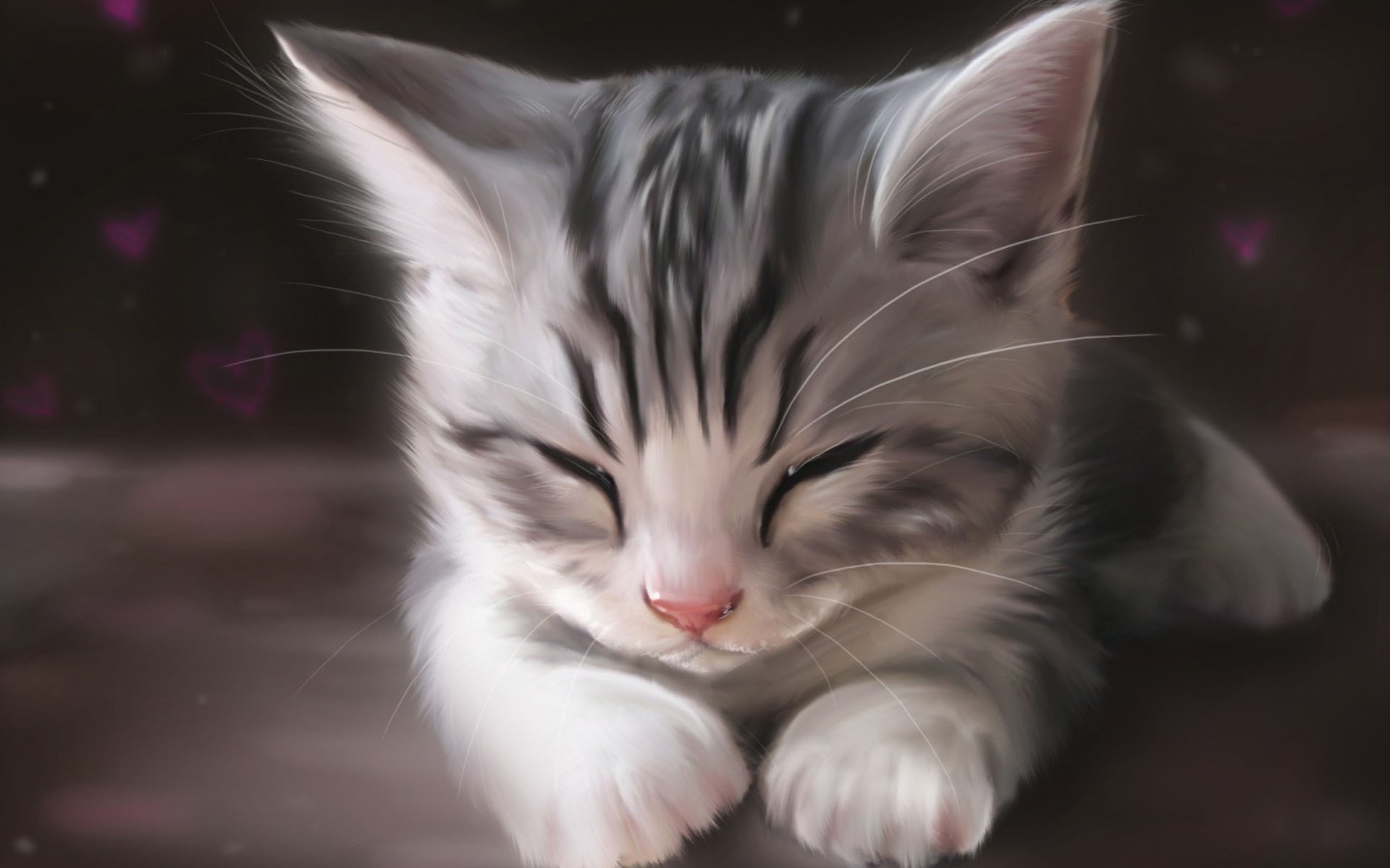 Sleeping Cat Wallpapers