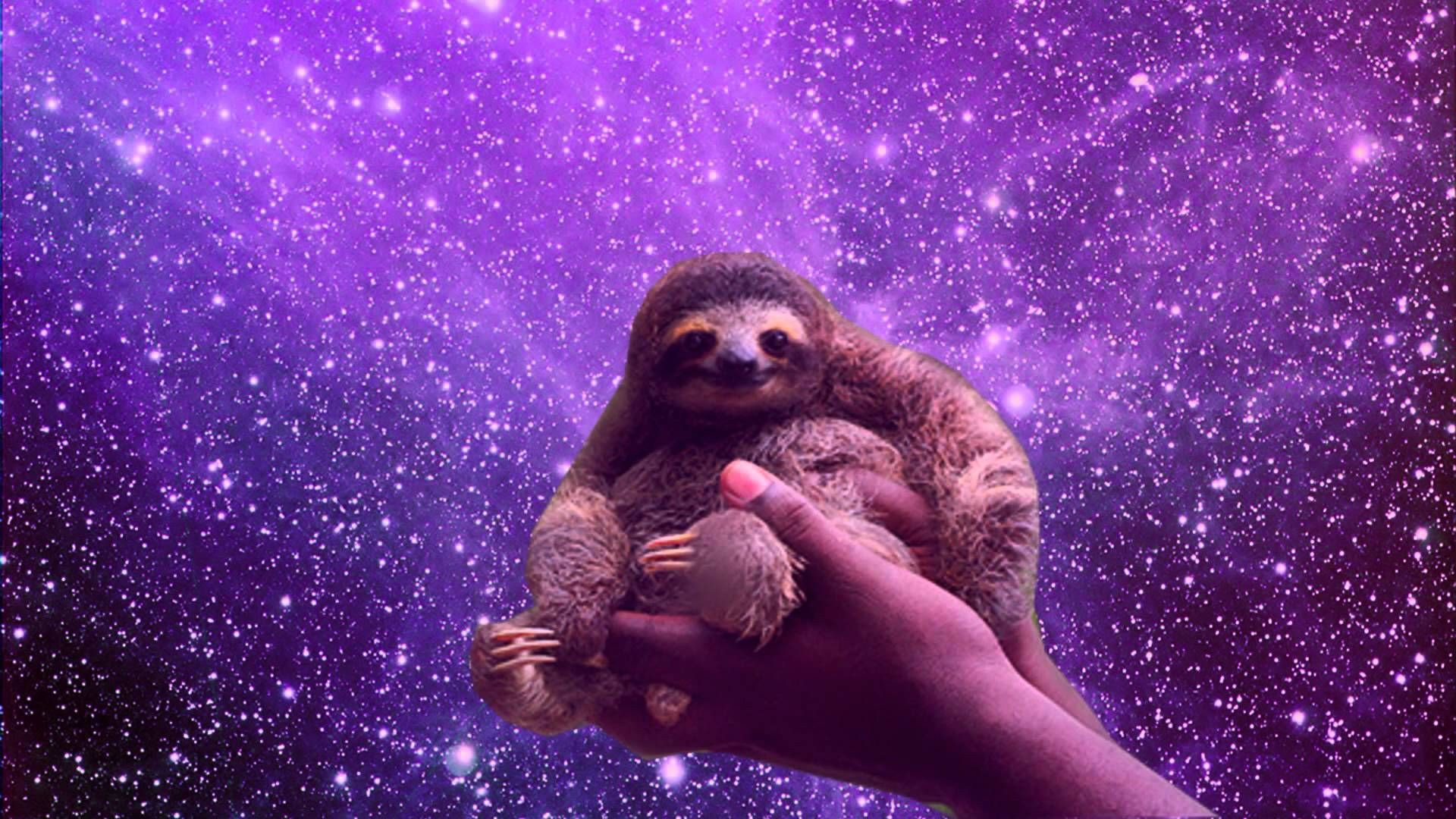 Sloth Dabbing Wallpapers