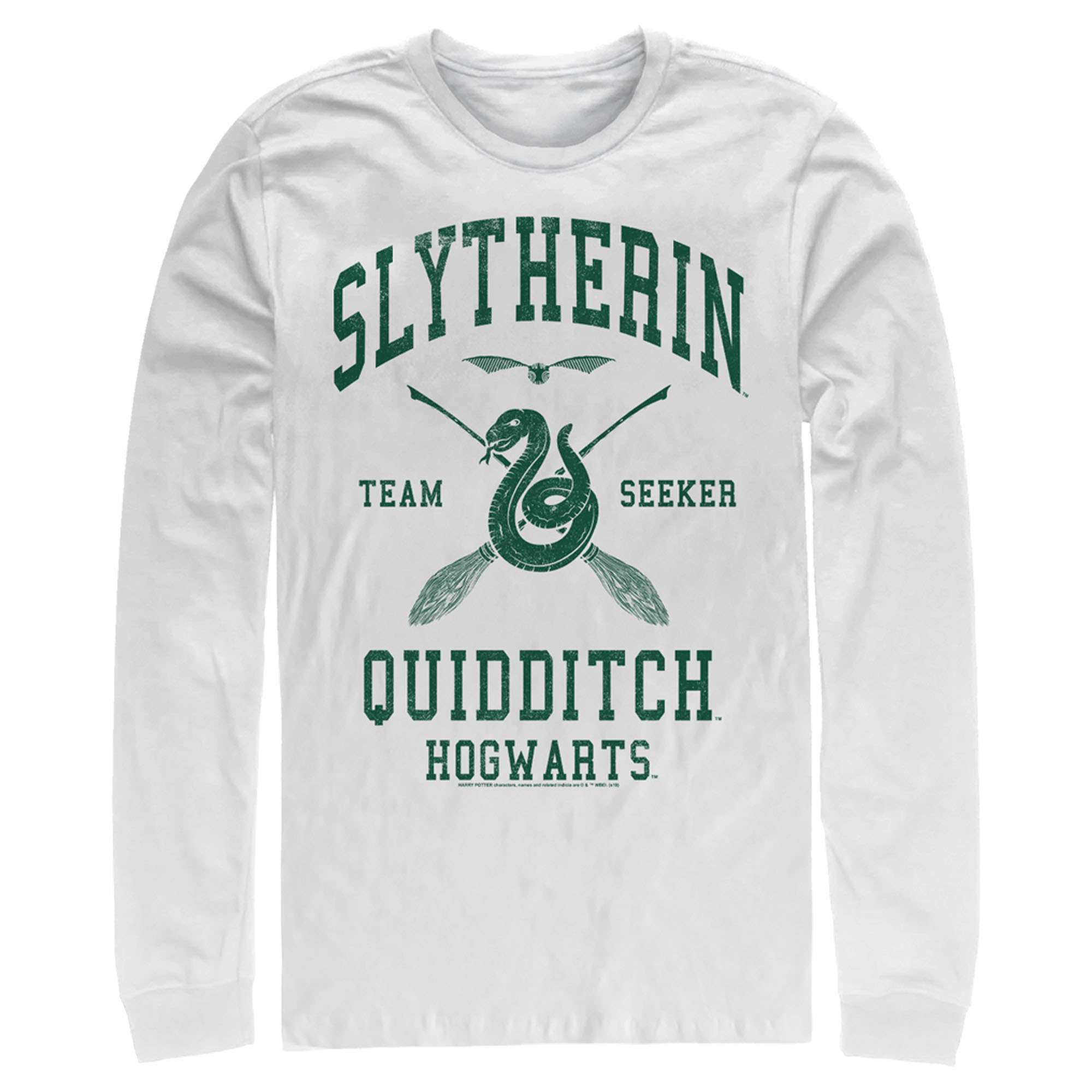 Slytherin Quidditch Wallpapers