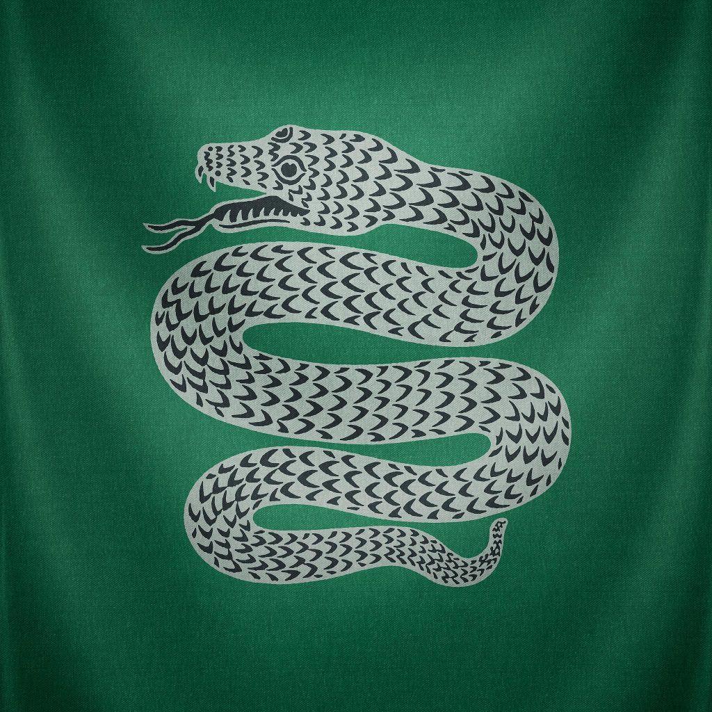 Slytherin Quidditch Wallpapers