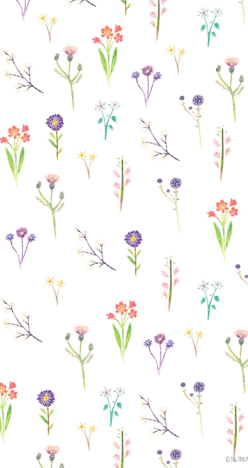 Small Flower Wallpapers