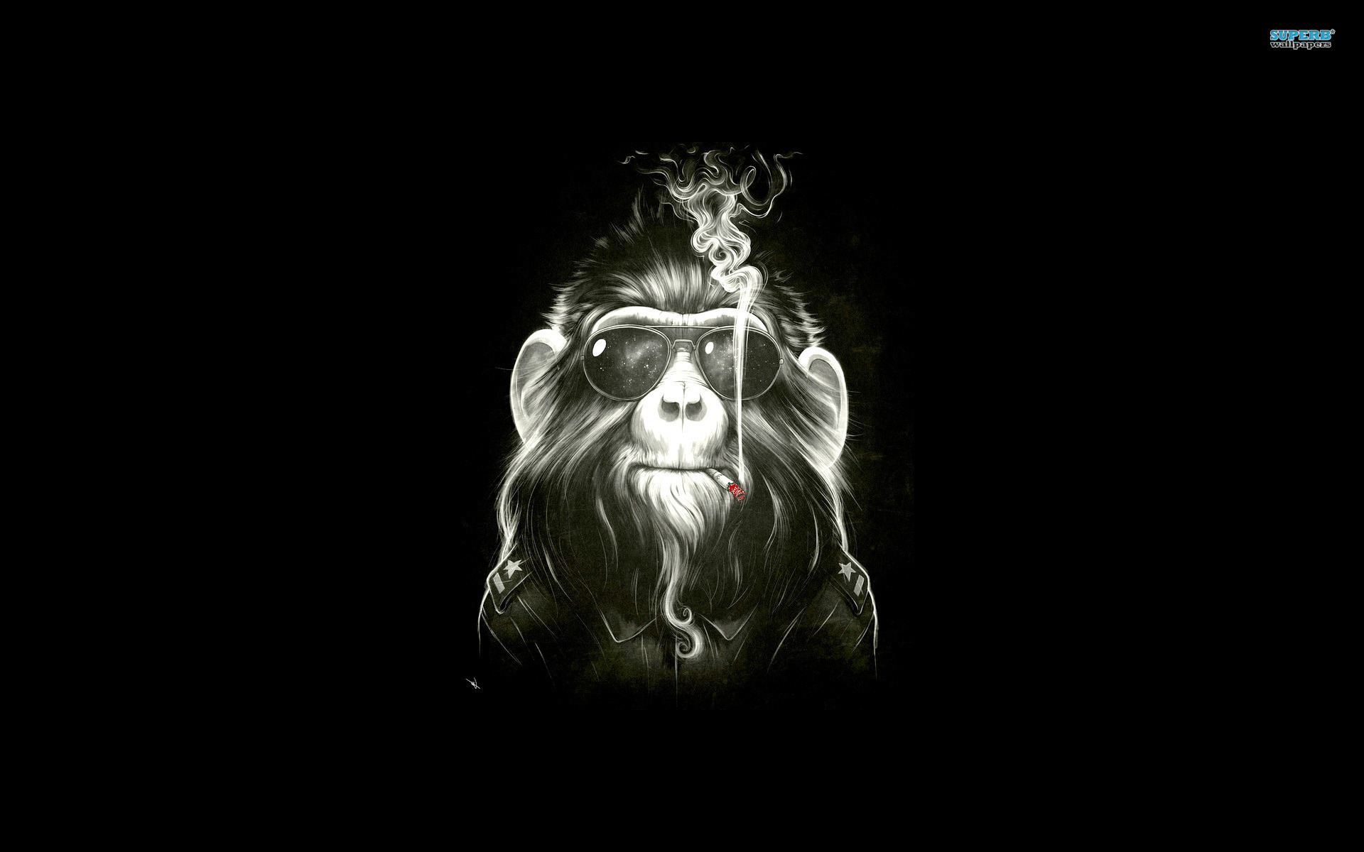 Smoking Monkey Wallpapers