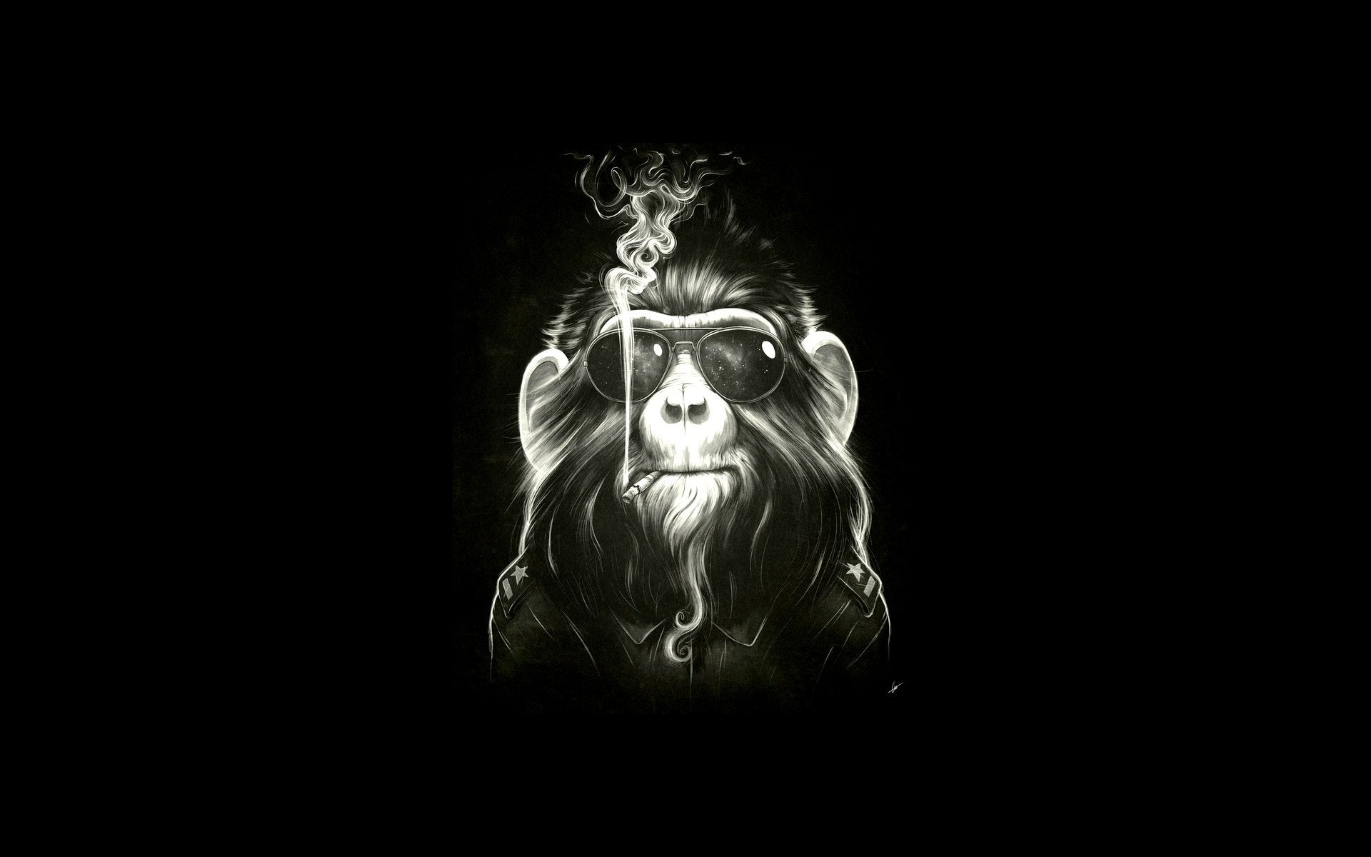 Smoking Monkey Wallpapers